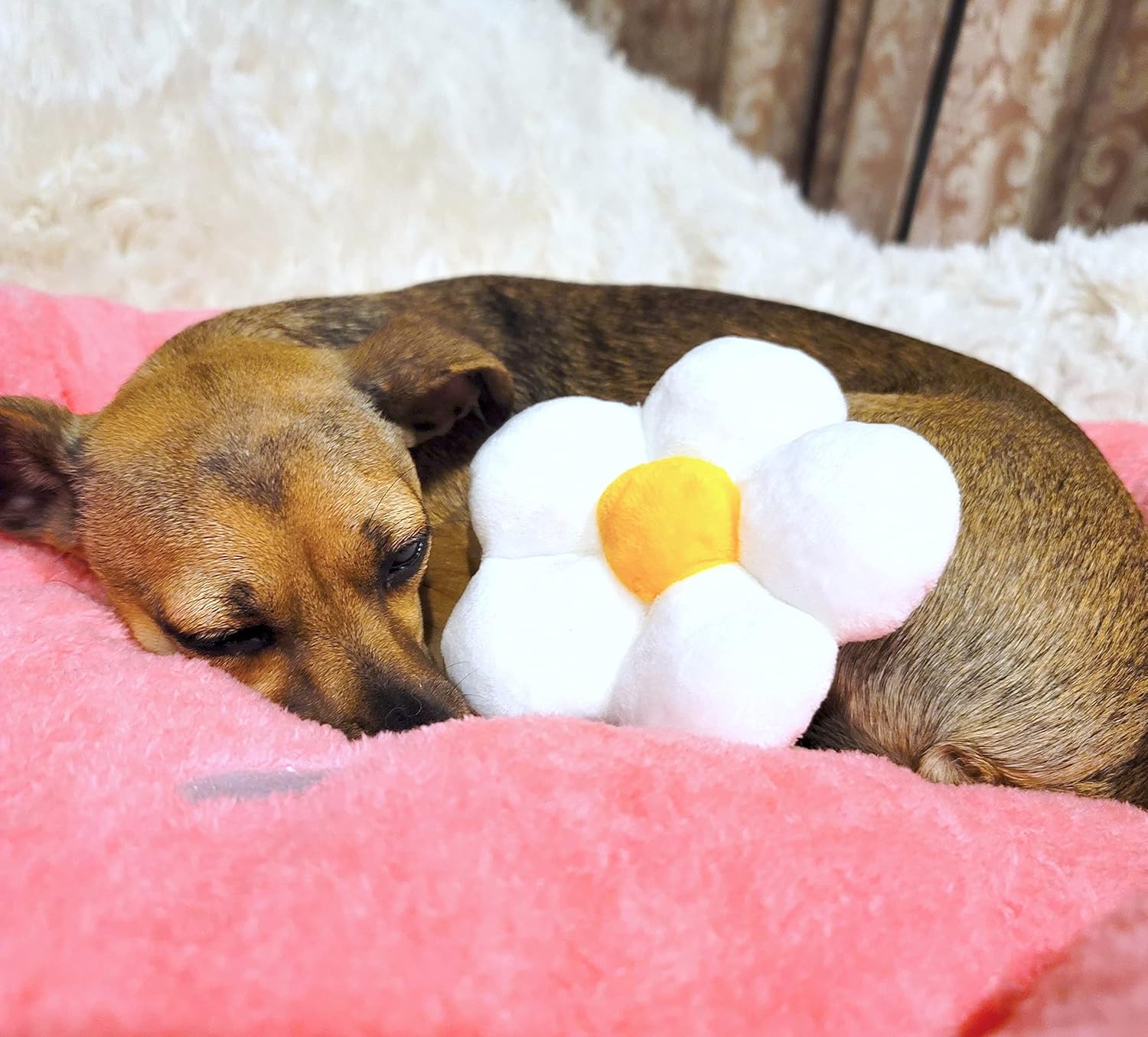 TONBO Hundebett aus weichem Plüsch, klein, niedlich und gemütlich, für Hunde und Katzen geeignet, waschmaschinen- und trocknergeeignet (Erdbeerrot)