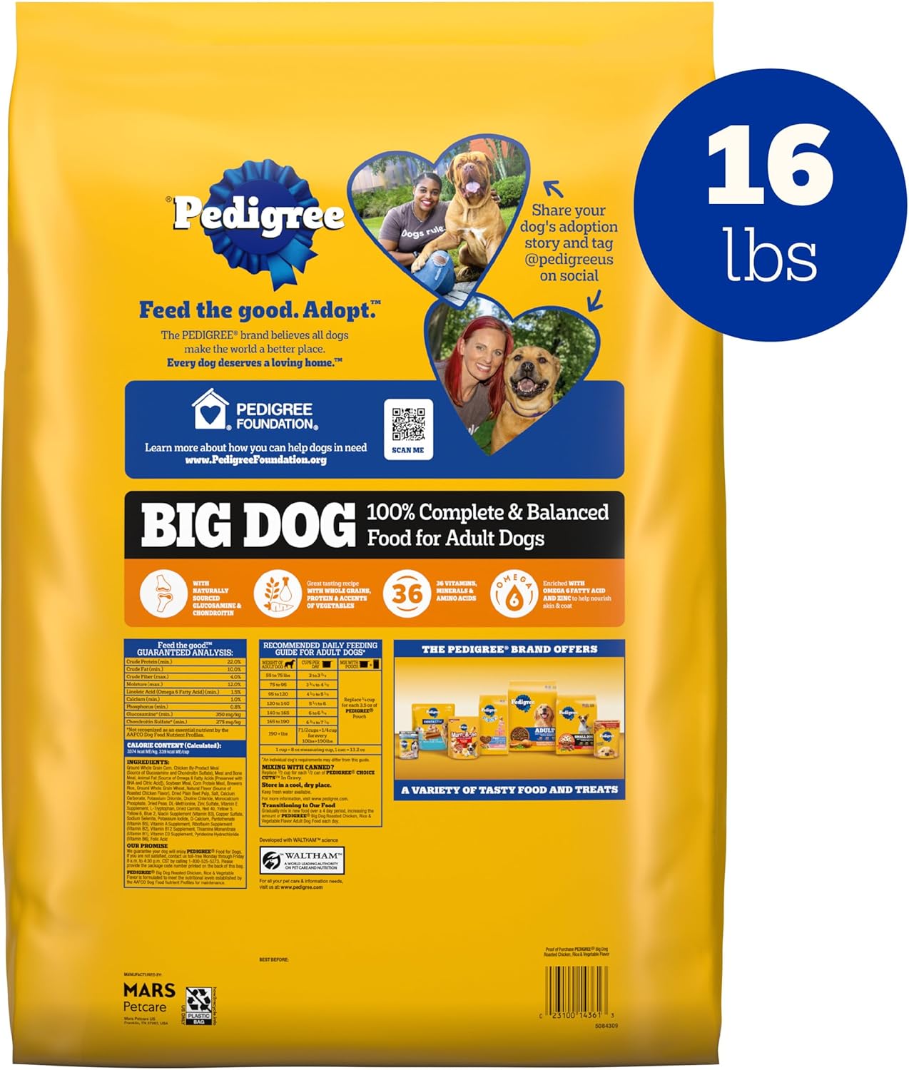 Pedigree Complete Nutrition Big Dog Dry Dog Food, Roasted Chicken, Rice and Vegetable Flavor, 16 lb. Bag · v2
