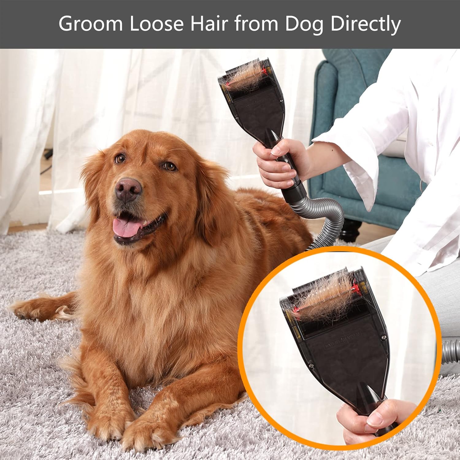 Brush Hair Deshedding Tool for DogsCats Professional Shedding Fur Remover Comb as Vacuum Cleaner Attachment Kit for Dyson V15 V12 V11 V10 V8 V7 V6 · v4