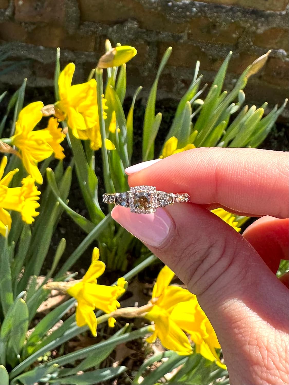 LE VIAN 1/2 Carat White and Chocolate Diamond Cushion Shaped Halo Ring for Women I 14k Rose Gold Anniversary Ring for Her (G-H/Brown, VS2-SI1, 0.46 cttw) Engagement Promise Ring Size 5 to 10.5 · v2