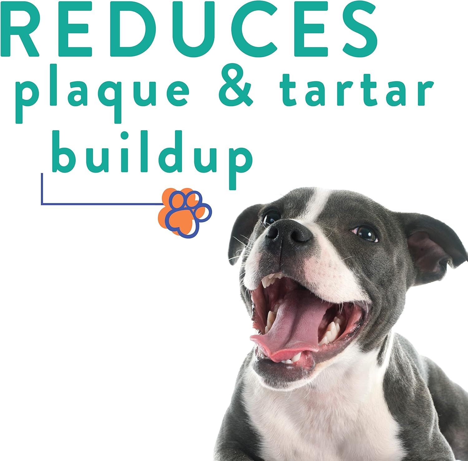 ProBesties Complete Oral Care for Dogs (sm), Probiotic Food Topper - Bad Breath Treatment for Dogs - Dog Breath Freshener  Probiotic Perio Support - Dog Bad Breath Eliminator · v2