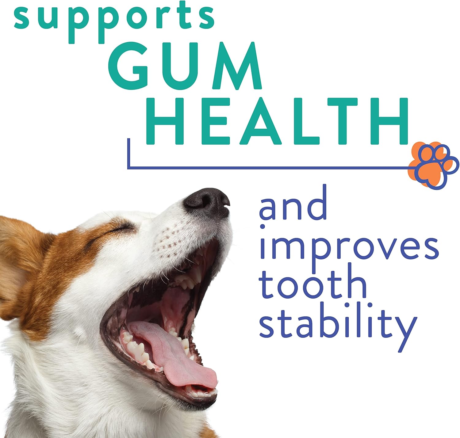 ProBesties Complete Oral Care for Dogs (sm), Probiotic Food Topper - Bad Breath Treatment for Dogs - Dog Breath Freshener  Probiotic Perio Support - Dog Bad Breath Eliminator · v2