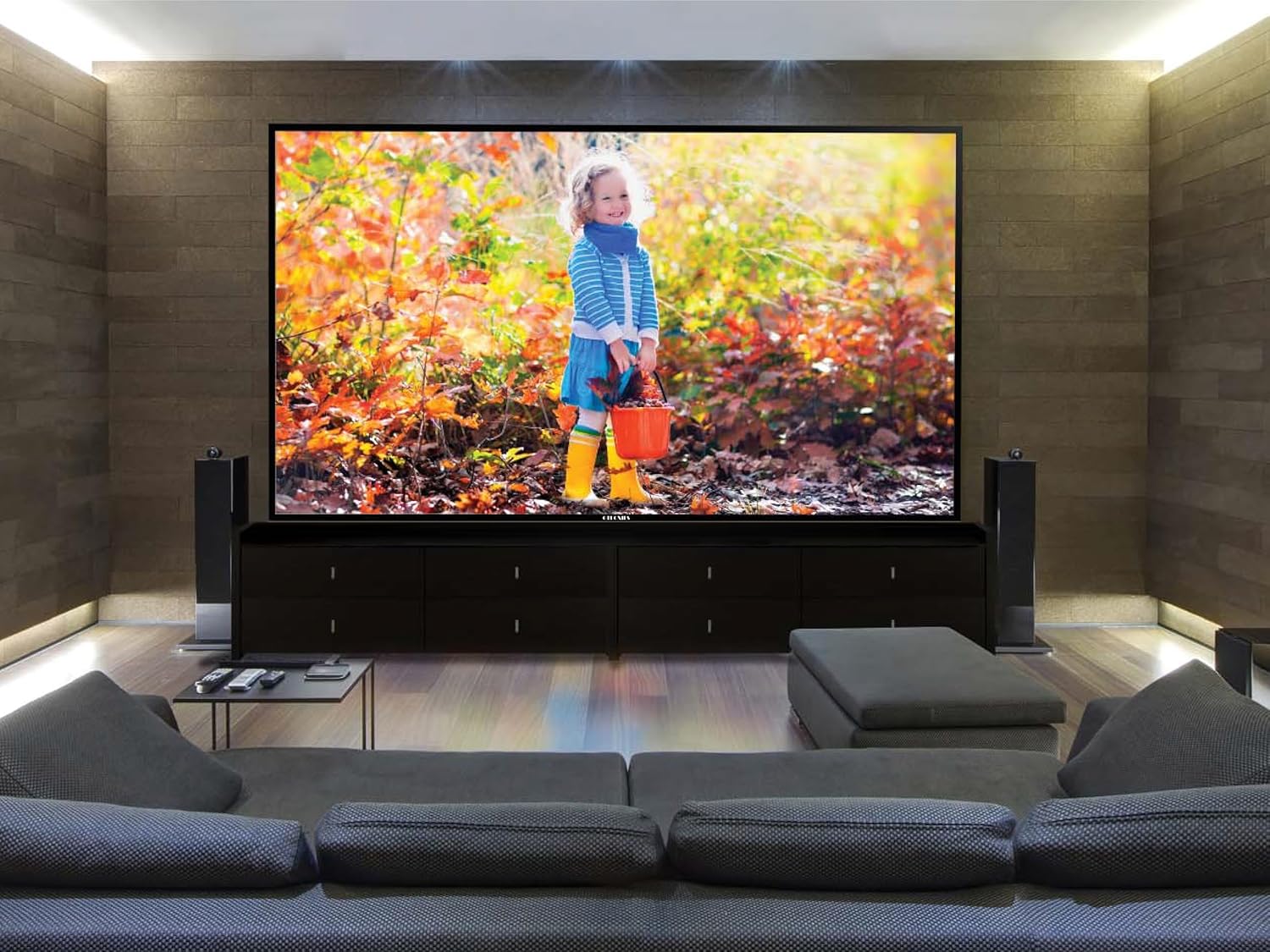 110 Inches Ultra HD TV, Ultra Large Screen Monitor 3840x2160 Pixel, Experience Various Kinds of Content with High-Performance Picture Quality · v2