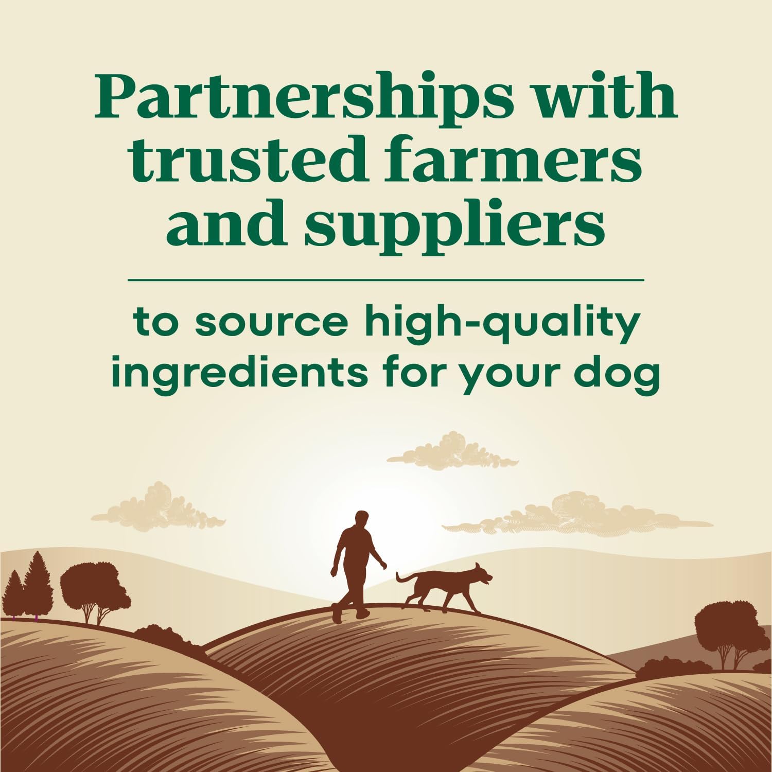 농장에서 키운 닭고기를 넣은 Nutro Max Senior Dry Dog Food, 25파운드 가방