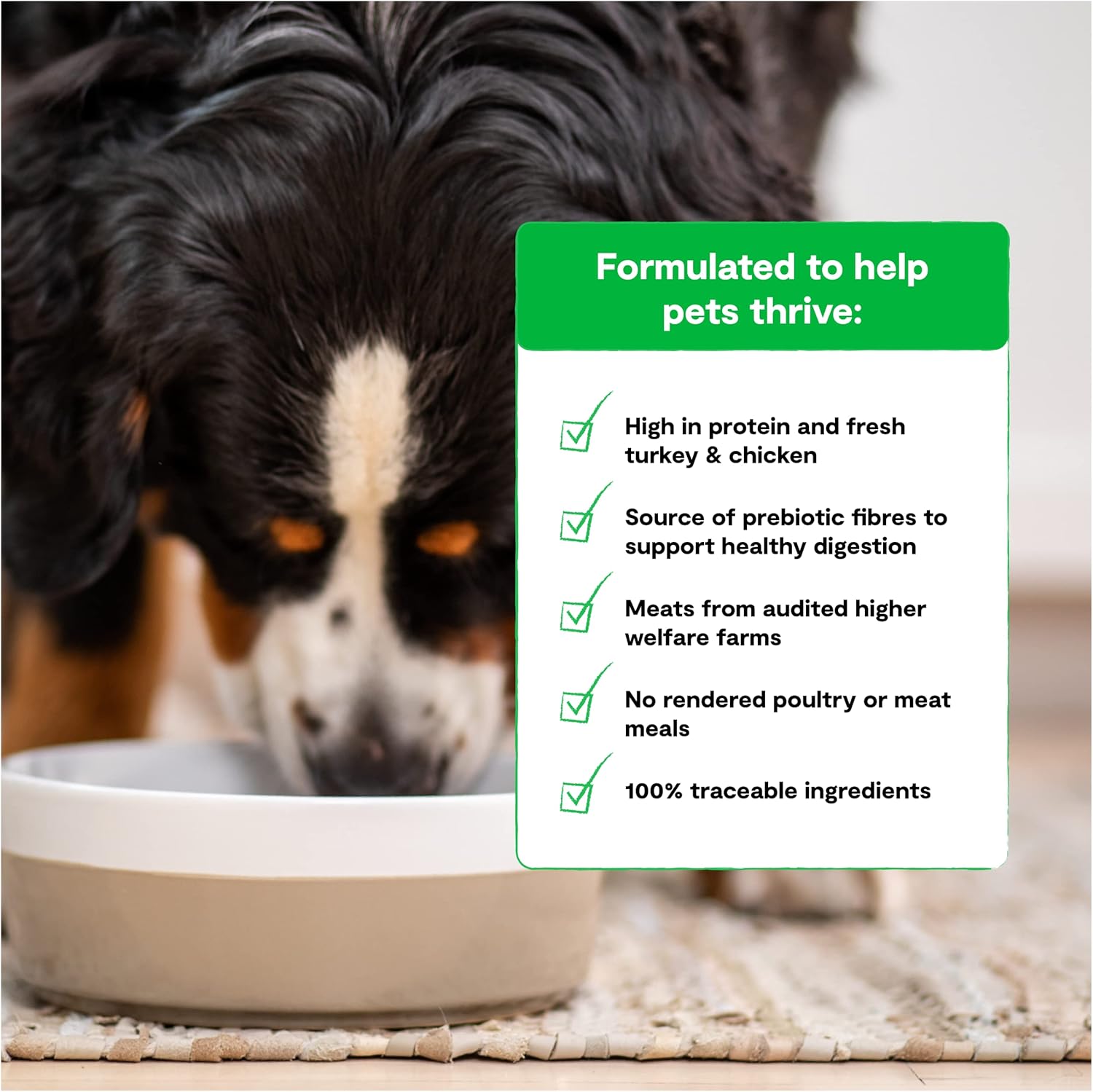 Nourriture sèche pour chiens Open Farm Homestead, sans céréales, sans céréales, recette de volaille 100 % certifiée sans cruauté avec des superaliments sans OGM et sans arômes ni conservateurs artificiels, 22 livres