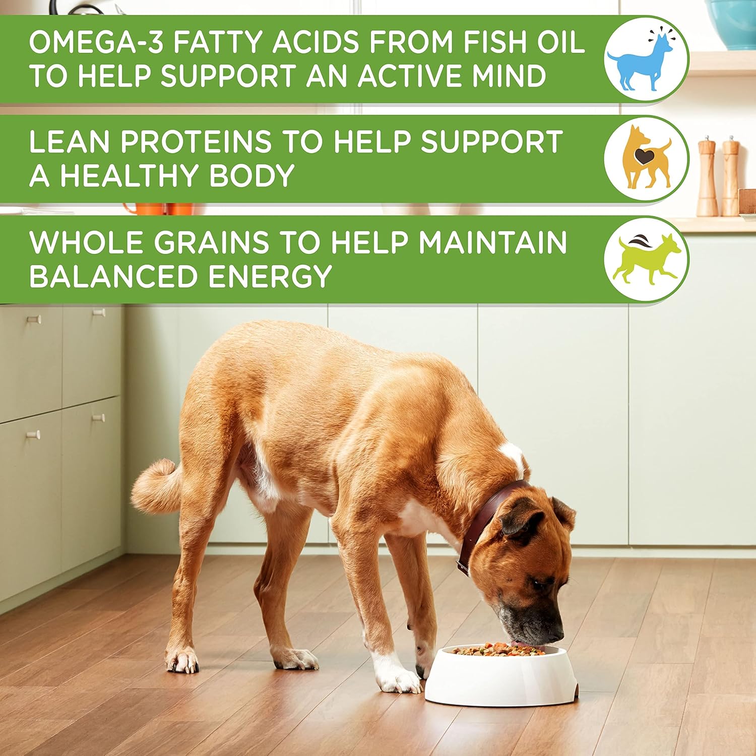 Nutrish Rachael Ray Chunks in Gravy Wet Dog Food Real Chicken  Veggies Recipe, 13 Ounce (Pack of 12)