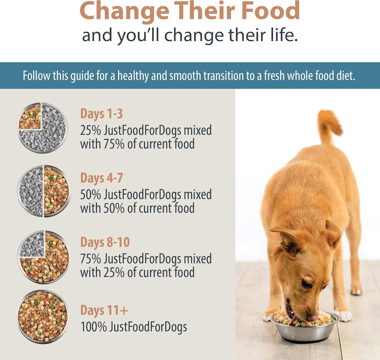 JustFoodForDogs Pantry Fresh Wet Dog Food Variety Pack, Complete Meal or Dog Food Topper, Beef, Chicken,  Turkey Human Grade Dog Food Recipes - 12.5 oz (Pack of 6)