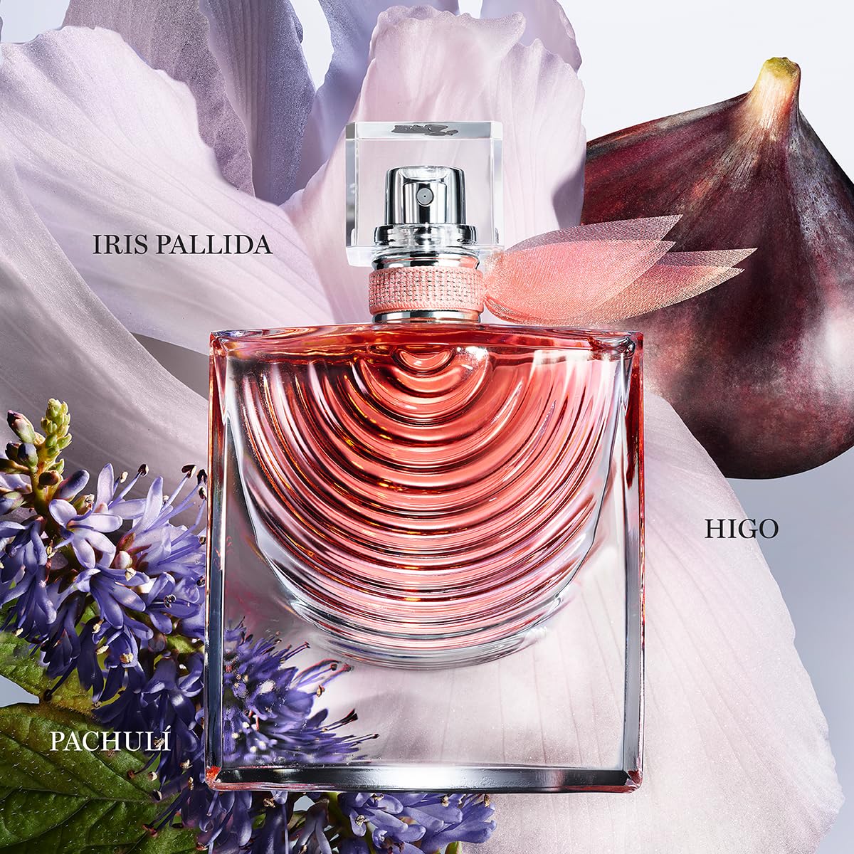 Lancôme La Vie Est Belle Iris Absolu Eau De Parfum — Warmes und würziges Damenparfüm — mit Noten von Iris, Jasmin und Feige — lang anhaltender Duft