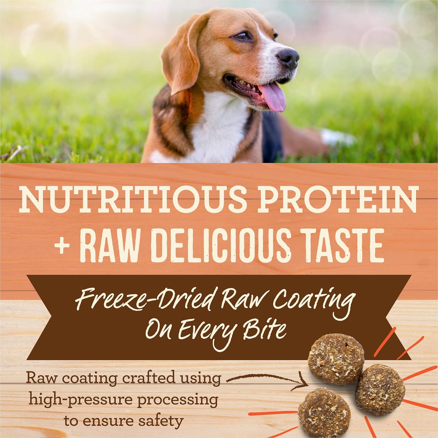 Merrick Healthy Grains Freeze Dried Raw Coated Kibble, Natural High Protein Dog Food, Salmon and Brown Rice - 10.0 lb. Bag · v4