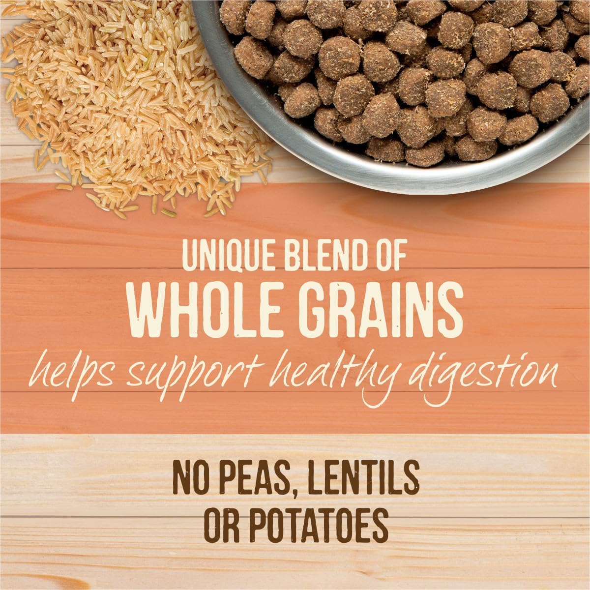 Merrick Healthy Grains Freeze Dried Raw Coated Kibble, Natural High Protein Dog Food, Salmon and Brown Rice - 10.0 lb. Bag · v4