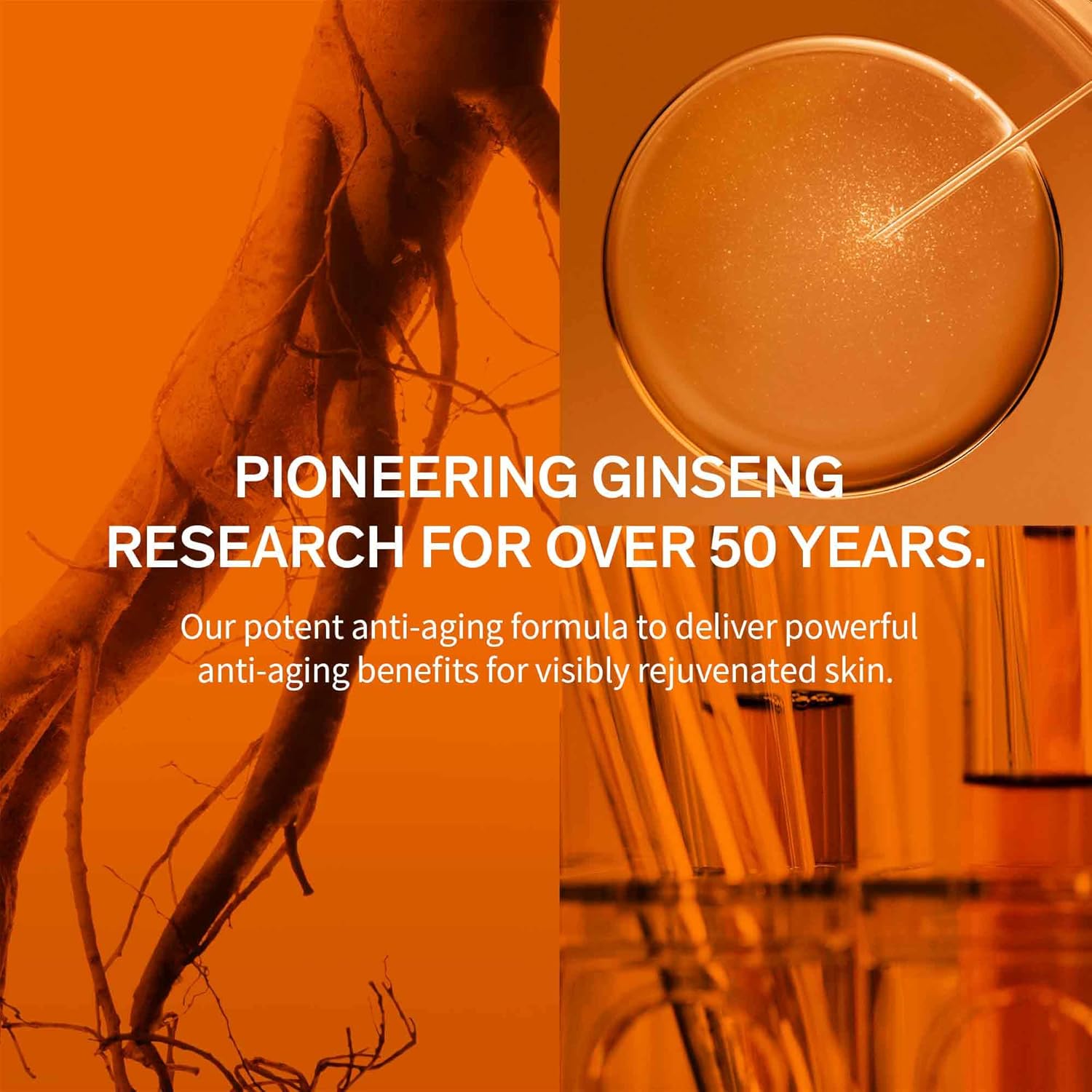 Sulwhasoo Concentrated Ginseng Renewing Serum - Korean Anti-Aging Serum, Visibly Improves Wrinkles and Firmness, Retinol, Niacinamide, Saponins  Hyaluronic Acid · v12