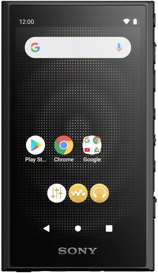 Przenośny cyfrowy odtwarzacz muzyczny Sony NW-A306 Walkman 32GB Hi-Res z systemem Android, akumulatorem do 36 godzin, Wi-Fi Bluetooth i USB Type-C — czarny NW-A306/B, czarny