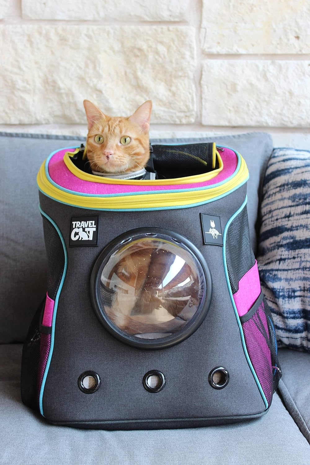 Fat Cat Rucksackträger — von der Fluggesellschaft zugelassene Katzentasche mit Space Capsule Bubble für kleine Katzen, Kitten — Premium-Rucksack mit streunender Katze für Outdoor-Aktivitäten, Reisen, Wandern, Tierbedarf