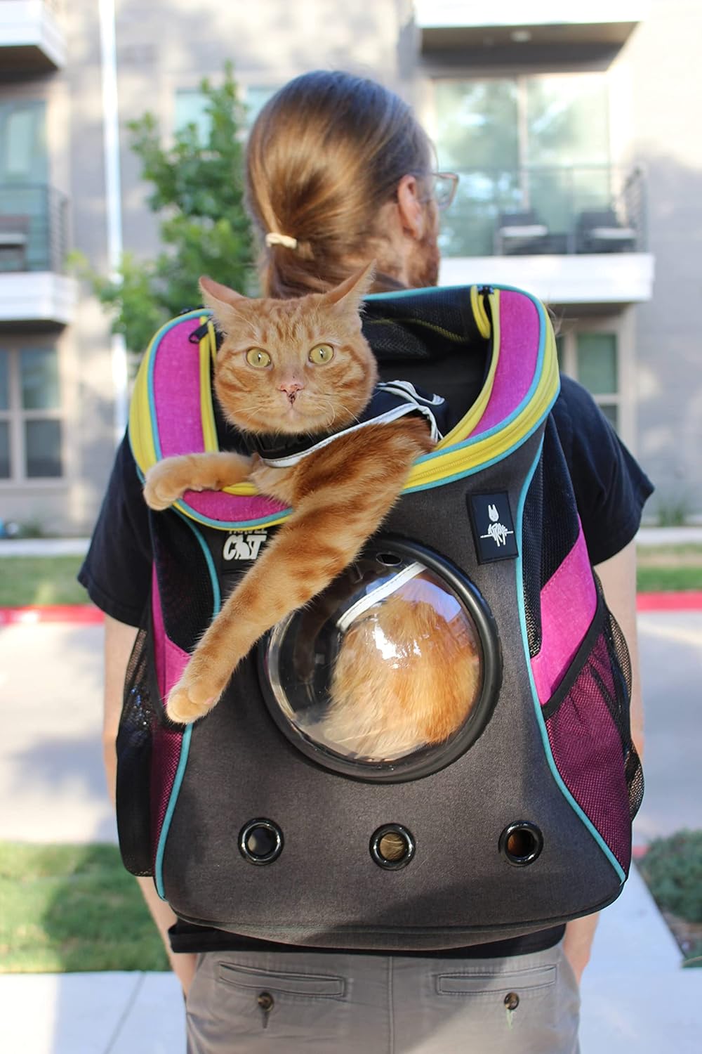 Fat Cat Rucksackträger — von der Fluggesellschaft zugelassene Katzentasche mit Space Capsule Bubble für kleine Katzen, Kitten — Premium-Rucksack mit streunender Katze für Outdoor-Aktivitäten, Reisen, Wandern, Tierbedarf
