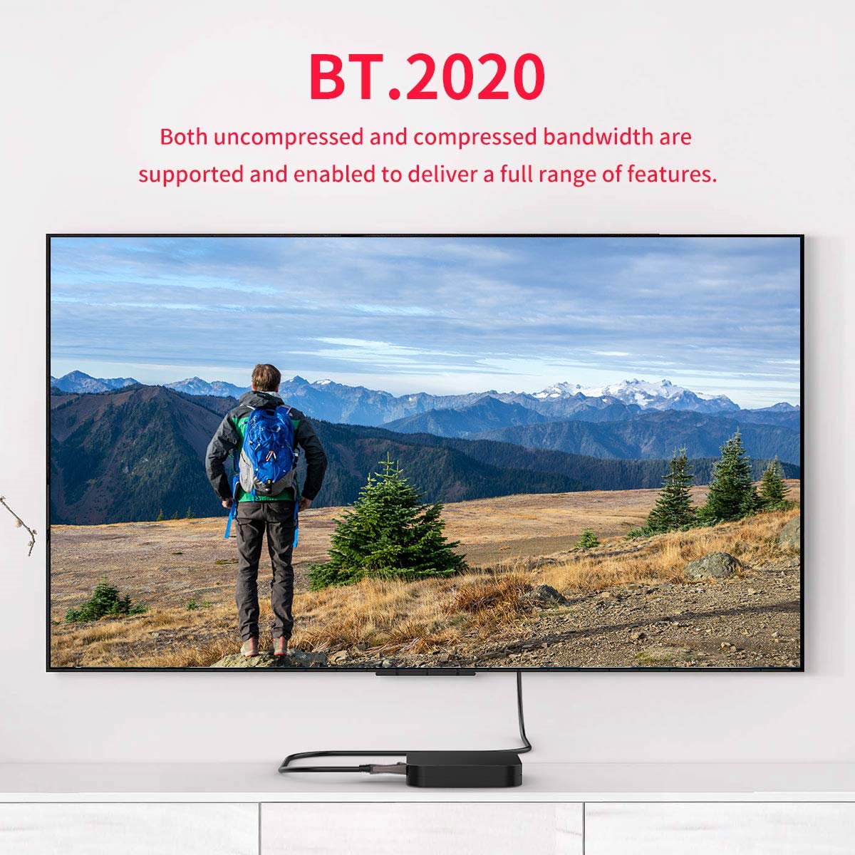 BIFALE DP Fiber Optic Cable 100ft, 8K Fiber Displayport Cable Support HBR3, DSC 1.2, HDR10, 32.4Gbps, 8K@60Hz, 4K@144Hz, Thin and Slim Fiber DP1.4 Cable · v11