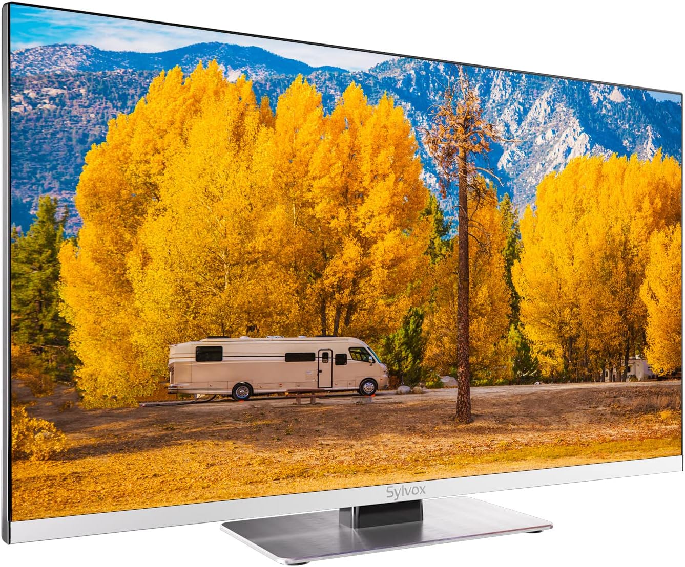 SYLVOX RV TV、RV用24インチ12/24V TV 1080PフルHDスマートTV、内蔵APPストア、WiFi Bluetooth対応、車、自宅、キャンピングカー、トラック、ボート用小型Android TV(リムジンシリーズ、2023)