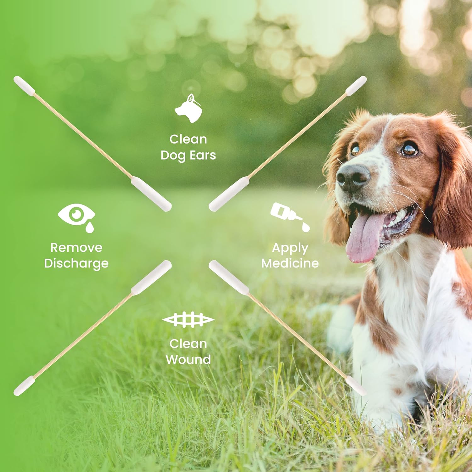 We Love Doodles Reinigungslösungsset für Hundeohren | Beugt Infektionen vor | Bio | Hergestellt in den USA | Ohrentropfen für Hunde | Juckreiz, Hautentzündung, Hefemilbeninfektion (Serum, 25 Tupfer)