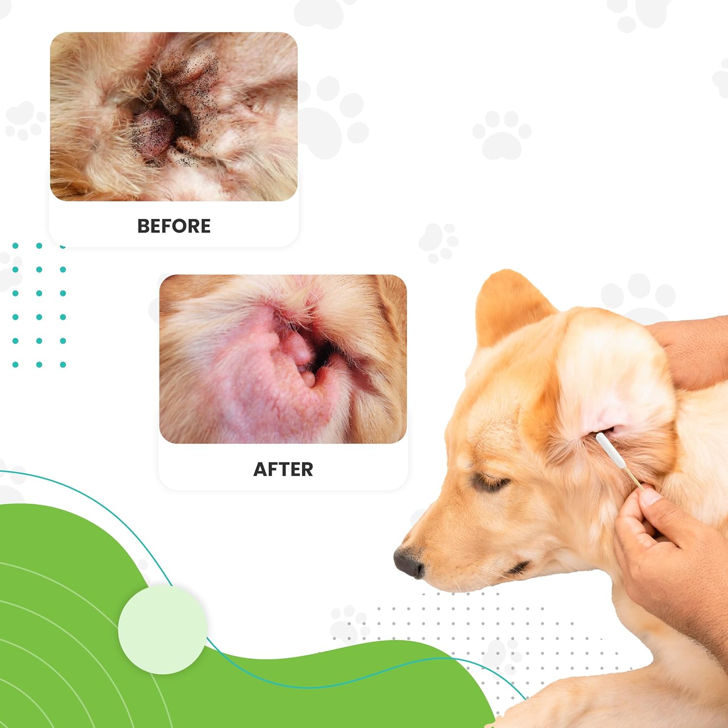 We Love Doodles Reinigungslösungsset für Hundeohren | Beugt Infektionen vor | Bio | Hergestellt in den USA | Ohrentropfen für Hunde | Juckreiz, Hautentzündung, Hefemilbeninfektion (Serum, 25 Tupfer)