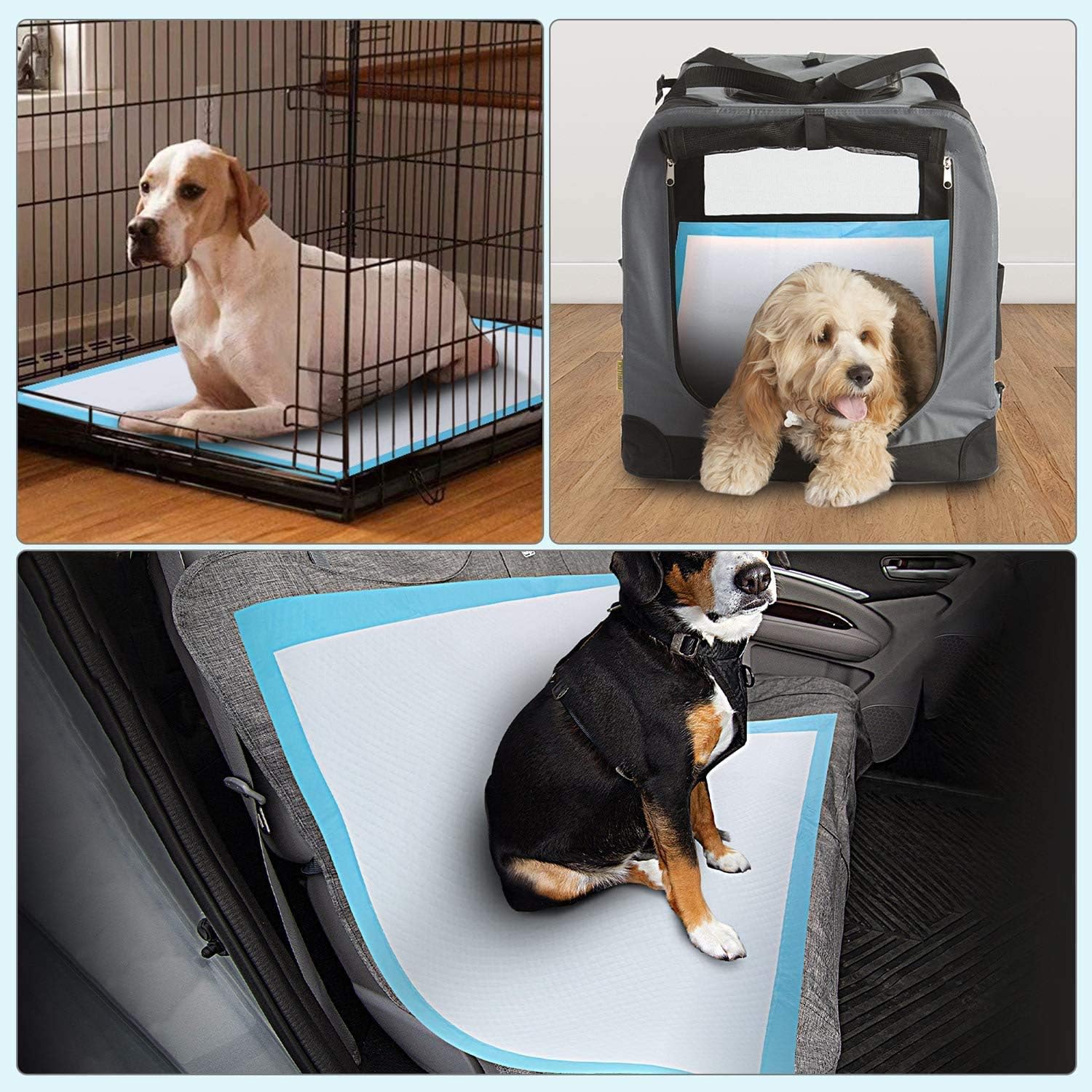 Dog and Puppy Pee Pads 50-Count Disposable Pet Pad 28x34 inch X-Large Waterproof Pet Training Pad Dog Pee Pads Maximum Absorption and Protection · v3