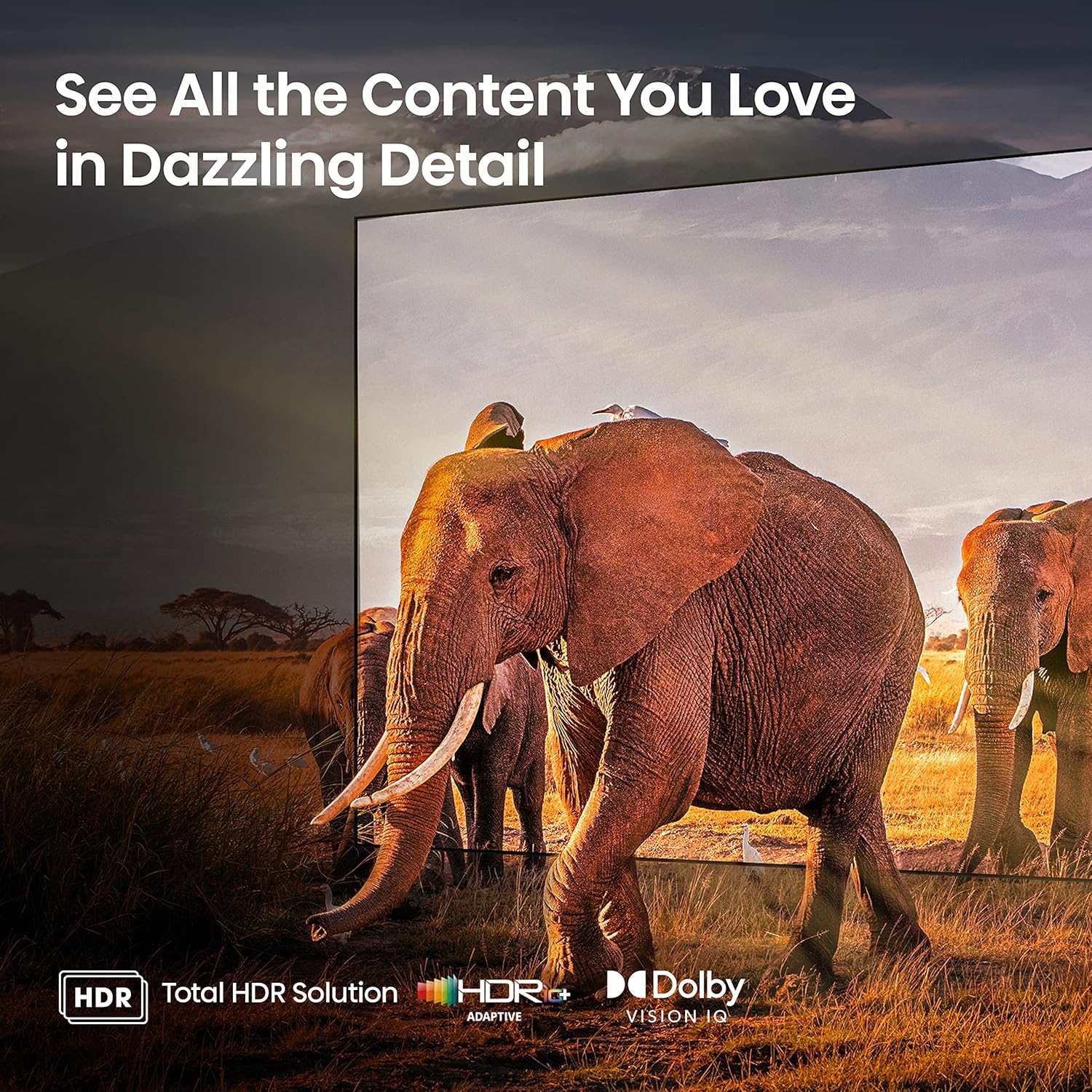 Mini-LED Hisense serie U6 da 55 pollici ULED 4K UHD Google Smart TV (55U6K) - QLED, oscuramento locale completo, Dolby Vision IQ，HDR 10, VRR Game Mode Plus, 240 Motion Rate, compatibilità con Alexa