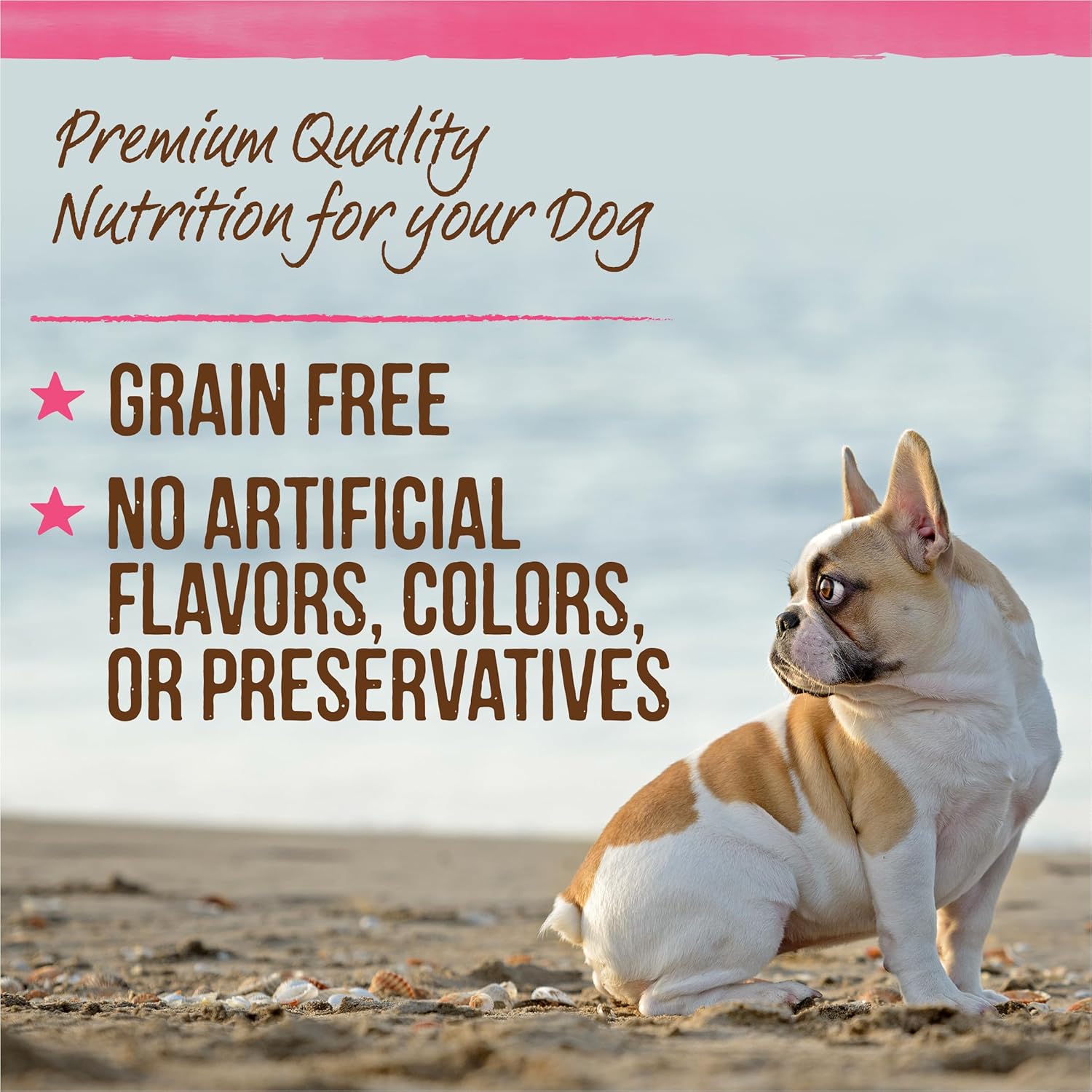 Merrick Lil’ Plates Petite Pates Premium Grain Free Wet Dog Food Variety Pack, Natural Beef, Chicken, Turkey - (Pack of 12) 3 oz. Cans · v4