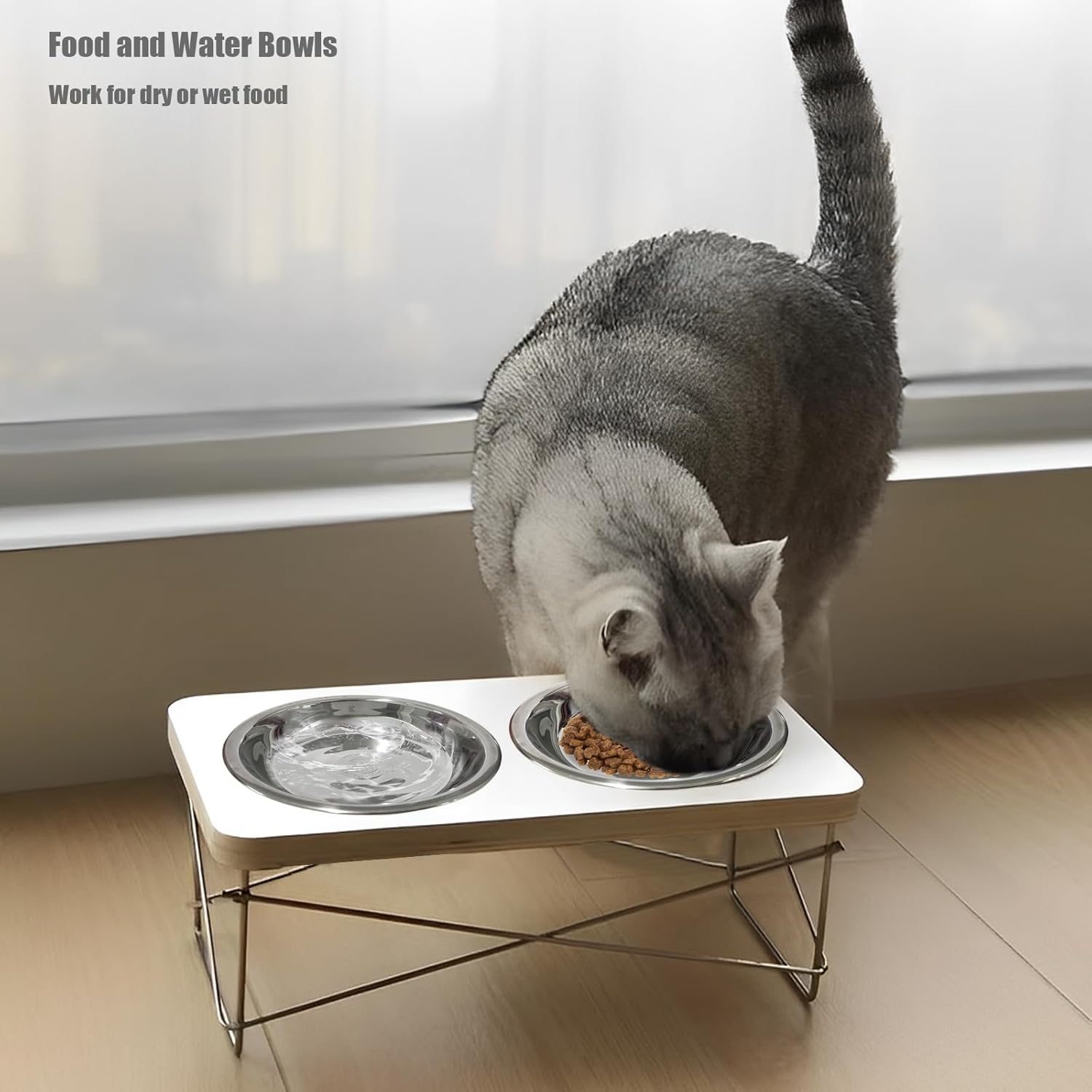 Ciotole per gatti in acciaio inossidabile da 4 pezzi, ciotola per gatti in metallo da 5,5 pollici, ciotole per cibo per gatti da interno, ciotola per gatti Whisker Fatigue, piatto per cibo per gatti poco profondo, ciotola per cibo per gattini, ciotole per alimenti rialzate per gatti