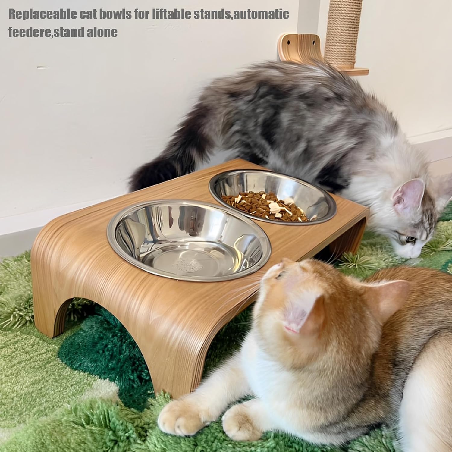 Ciotole per gatti in acciaio inossidabile da 4 pezzi, ciotola per gatti in metallo da 5,5 pollici, ciotole per cibo per gatti da interno, ciotola per gatti Whisker Fatigue, piatto per cibo per gatti poco profondo, ciotola per cibo per gattini, ciotole per alimenti rialzate per gatti