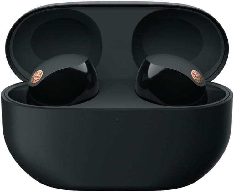 Écouteurs intra-auriculaires Bluetooth True Wireless à réduction de bruit Sony WF-1000XM5 (noirs) avec chargeur sans fil à double pad (2 articles)