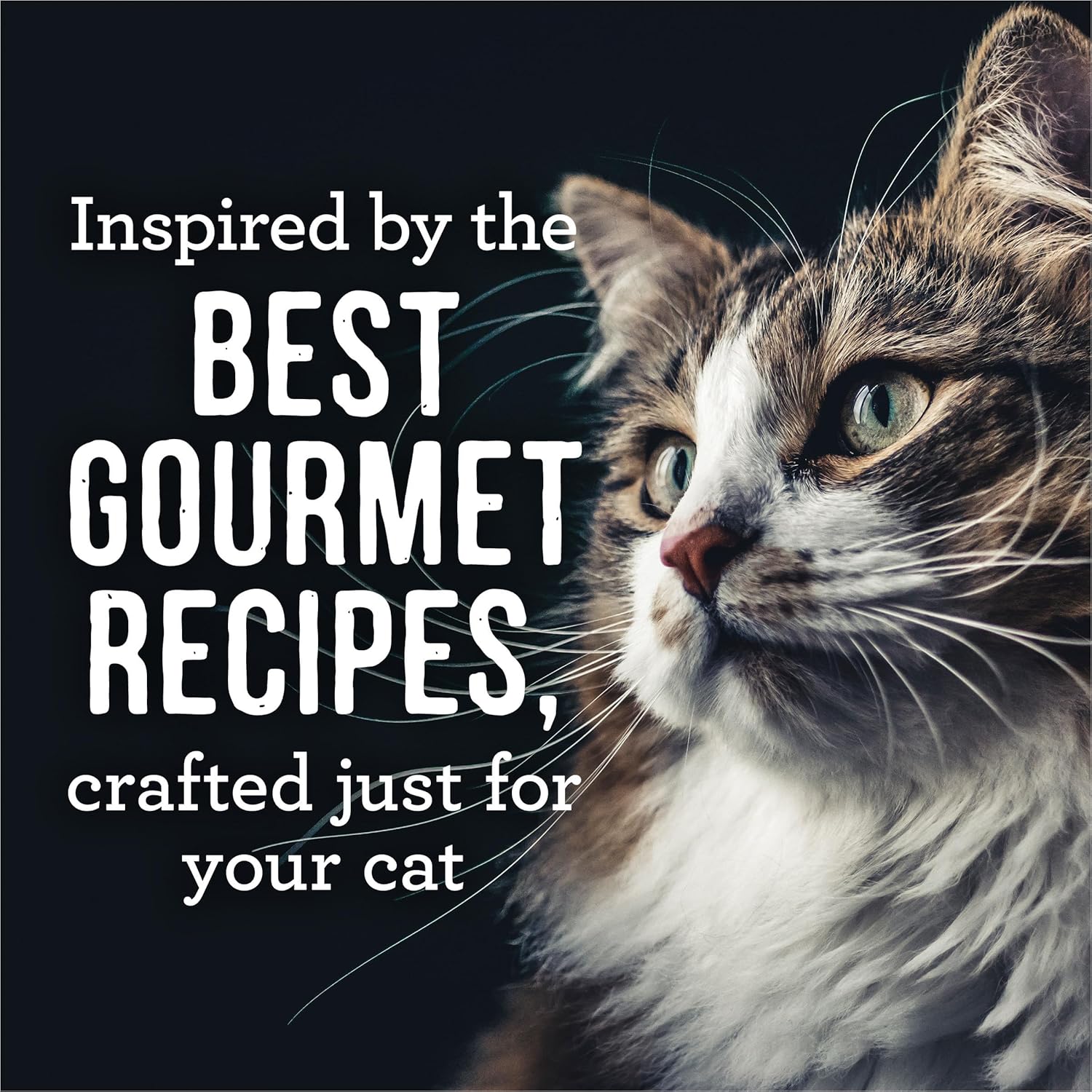 Merrick Purrfect Bistro Soirees Grain Free Natural Canned Cat Food with Gravy, Turkey Cassoulet Recipe - (Pack of 24) 2.75 oz. Cans · v6