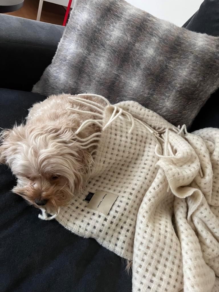 Alpaca Wool Throw Blanket | Luxury Alpaca Throw Blanket | Eco Friendly  Sustainably Made Luxury Throw | (Ivory Basketweave) · v2