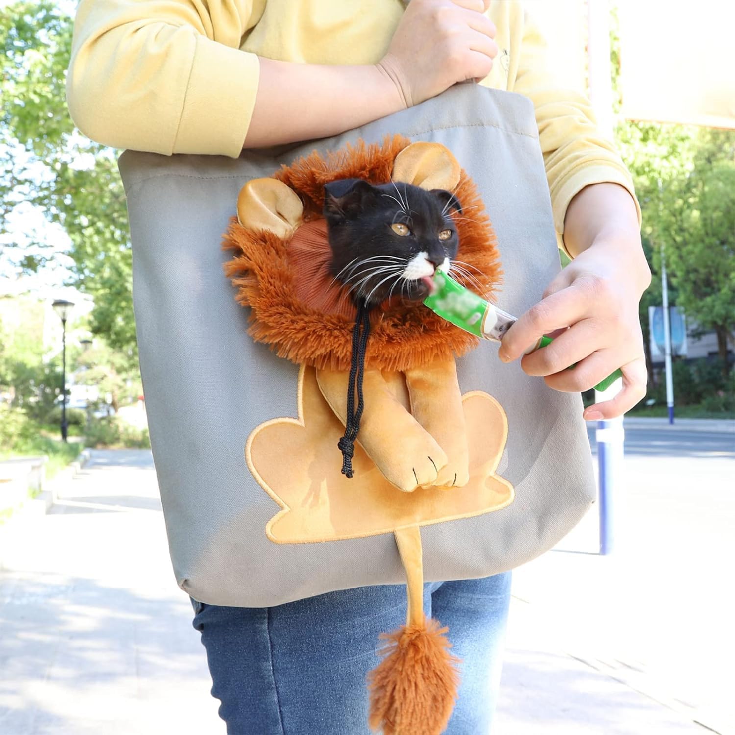 Borsa a tracolla in tela per animali domestici, trasportino per animali domestici con design a leone dai lati morbidi per gatti di piccola taglia e cuccioli, trasportino portatile traspirante per gatti in tela, simpatica borsa a tracolla per animali domestici