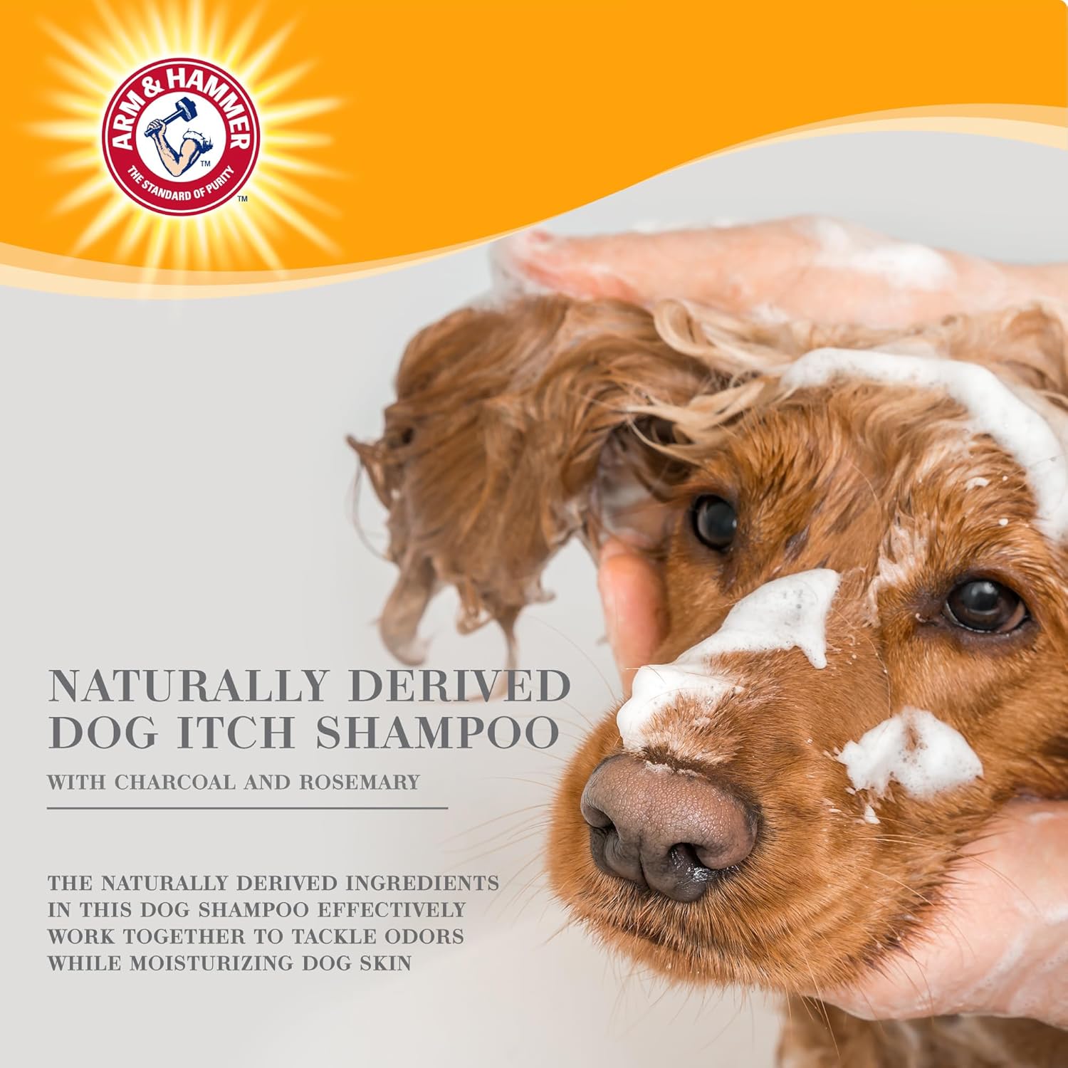 Arm Hammer for Pets แชมพูทำความสะอาดสุนัขแบบล้ำลึก Ultra Fresh ผสมชาร์โคลและโรสแมรี่ ขนาดคุ้ม 24 ออนซ์ | ผลิตภัณฑ์อาบน้ำและตัดแต่งขนสุนัขที่มีกลิ่นหอม น้ำยาอาบน้ำสุนัข แชมพูลูกสุนัข แชมพูสัตว์เลี้ยง