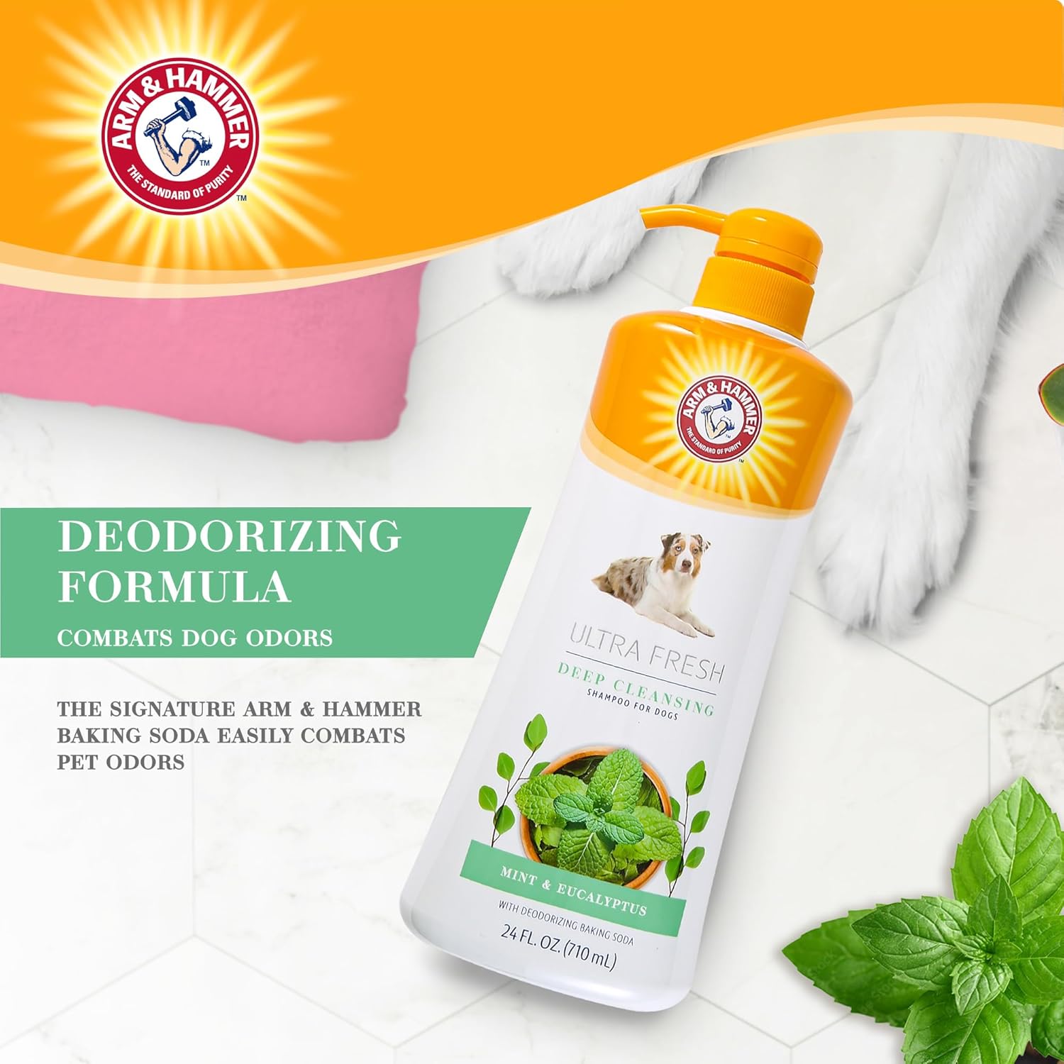 Arm Hammer for Pets แชมพูทำความสะอาดสุนัขแบบล้ำลึก Ultra Fresh ผสมชาร์โคลและโรสแมรี่ ขนาดคุ้ม 24 ออนซ์ | ผลิตภัณฑ์อาบน้ำและตัดแต่งขนสุนัขที่มีกลิ่นหอม น้ำยาอาบน้ำสุนัข แชมพูลูกสุนัข แชมพูสัตว์เลี้ยง
