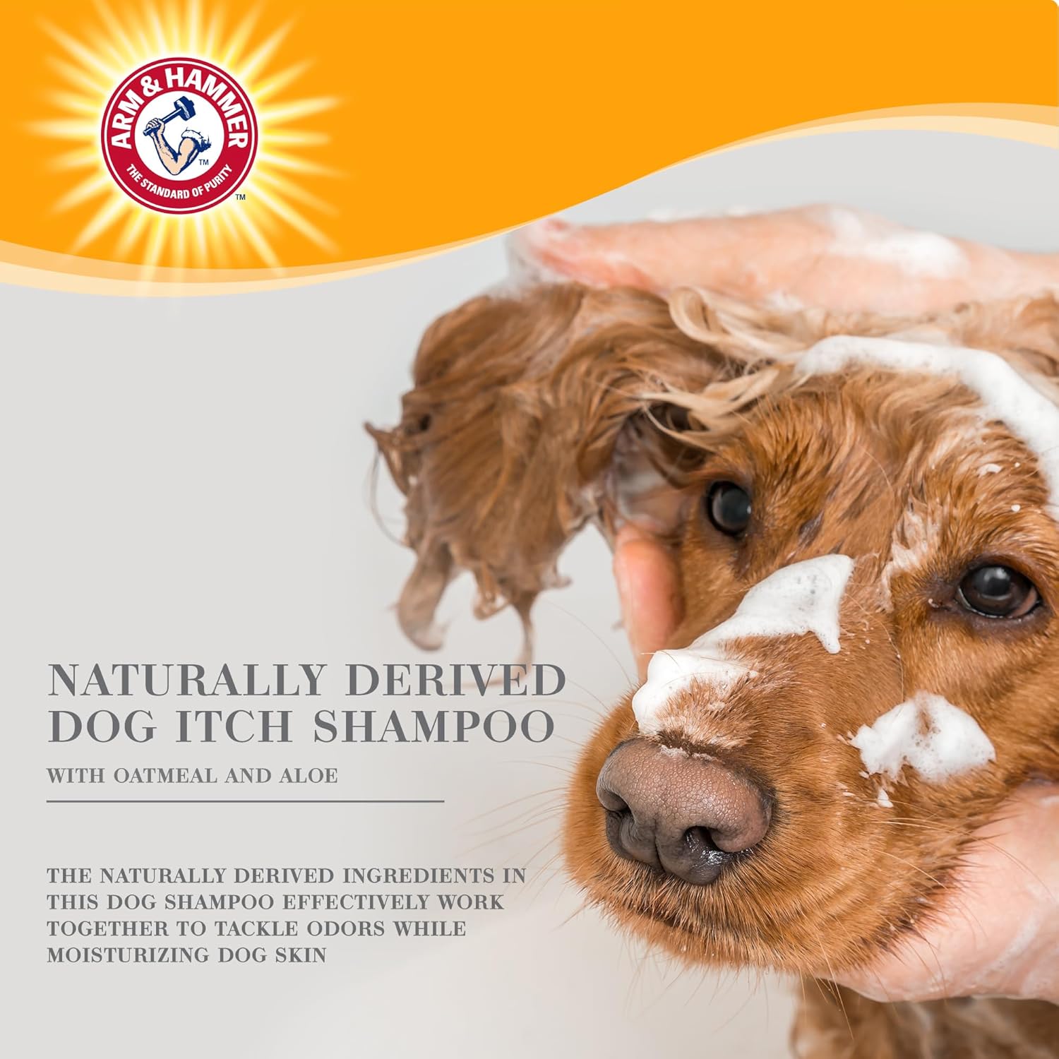 Arm  Hammer for Pets Ultra Fresh Itch Relief Shampoo with Oatmeal amp; Aloe Value Size with Pump 24oz | Great Smelling Dog Grooming Supplies, Dog Bathing Supplies, Dog Wash, Puppy Shampoo, Pet Shampoo · v2