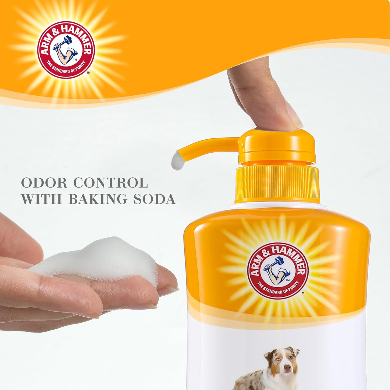 Arm  Hammer for Pets Ultra Fresh Itch Relief Shampoo with Oatmeal amp; Aloe Value Size with Pump 24oz | Great Smelling Dog Grooming Supplies, Dog Bathing Supplies, Dog Wash, Puppy Shampoo, Pet Shampoo · v2