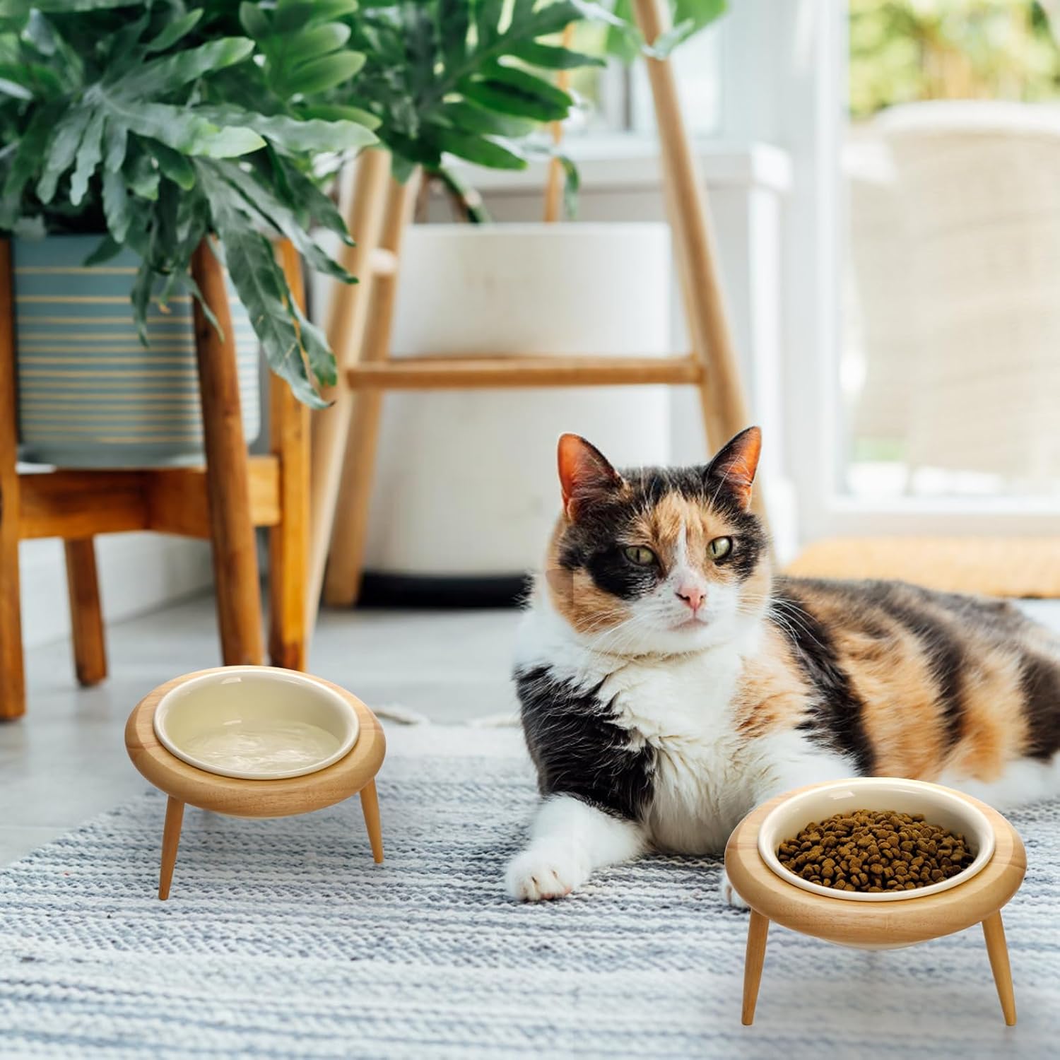 DEAYOU Ceramic Cat Bowl Adjustable, Tilted Elevated Raised Pet Dish, No Spill Pet Food Water Feeder, Slanted Dog Bowl with Wood Stand for Kitty, Pet Supplies, Stress Free, 600 ML/20 OZ, Cream White · v12