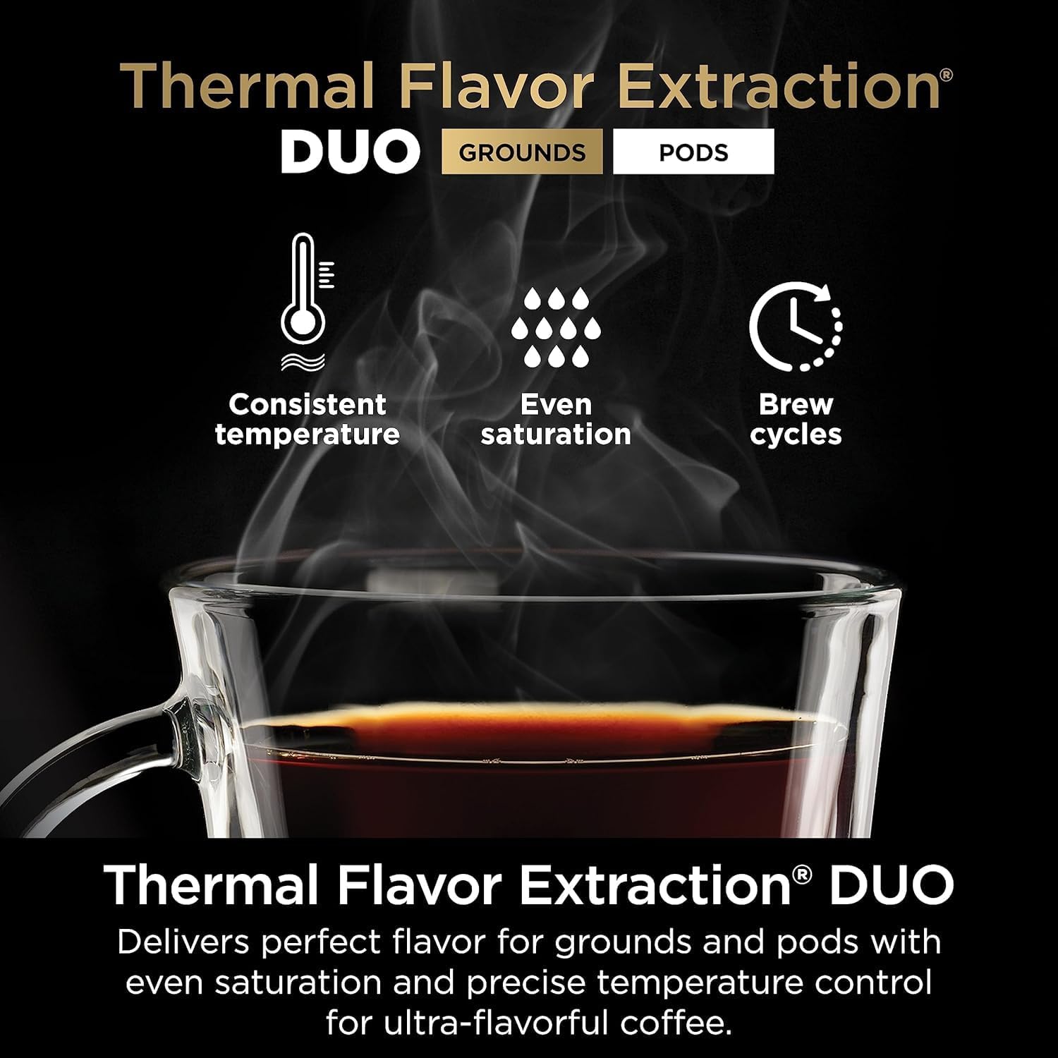 Ninja CFP101 DualBrew Hot  Iced Coffee Maker, Single-Serve, Compatible with K-Cups amp; 12-Cup Drip Coffee Maker, Black (Renewed) · v2