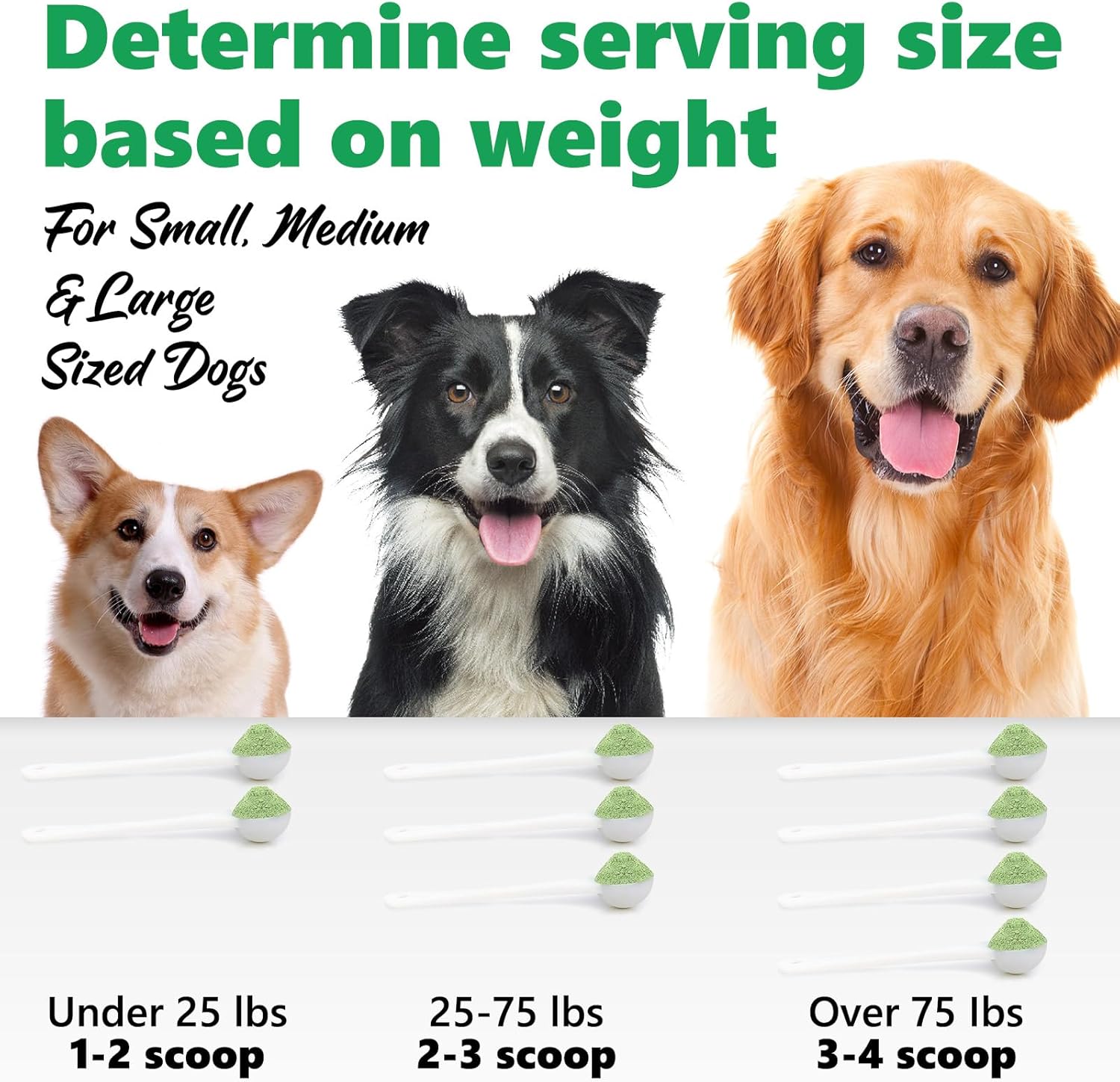 Teeth Cleaning Powder for Dogs, Dental Powder for Dogs - Dog Breath Freshener Powder with Probiotics for Bad Breath, Plaque, Tartar Remover - Dental Care Supplies for Small, Medium, Large Dogs - 80g · v10