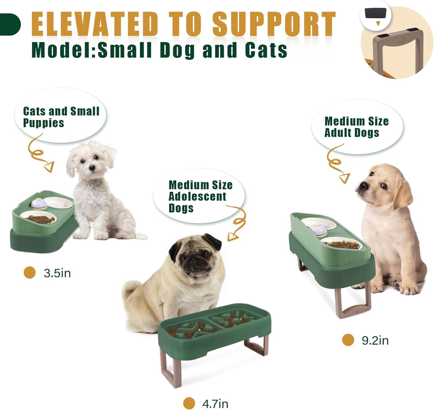 Ciotola d'acqua rialzata per cibo per cani e gatti - Ciotole rialzate per cani e gatti con supporto antiscivolo - Set di due ciotole per alimentazione per cani e gatti con protezione antispruzzo - Ciotole Slow Feeder per gatti e cani di piccola taglia (JK8222-verde)