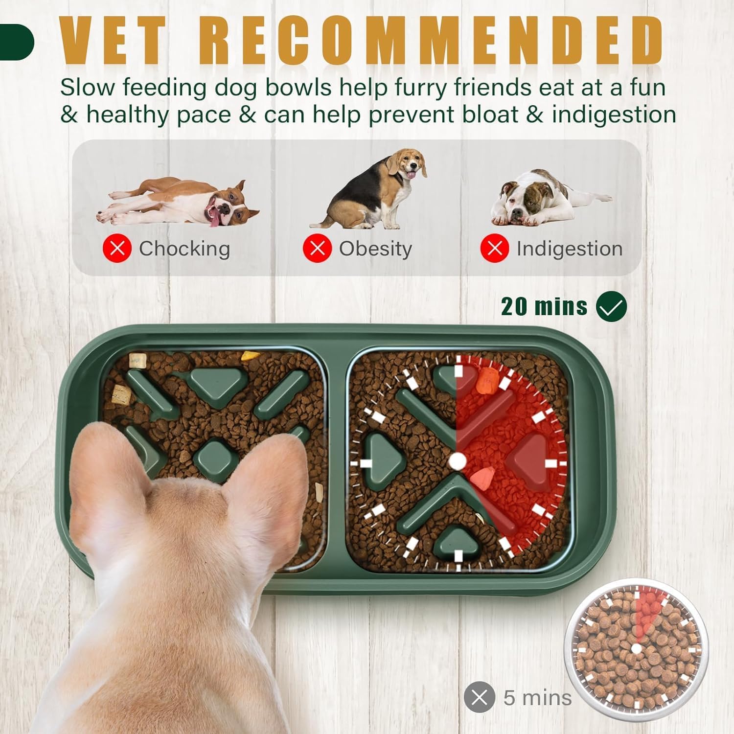 Ciotola d'acqua rialzata per cibo per cani e gatti - Ciotole rialzate per cani e gatti con supporto antiscivolo - Set di due ciotole per alimentazione per cani e gatti con protezione antispruzzo - Ciotole Slow Feeder per gatti e cani di piccola taglia (JK8222-verde)