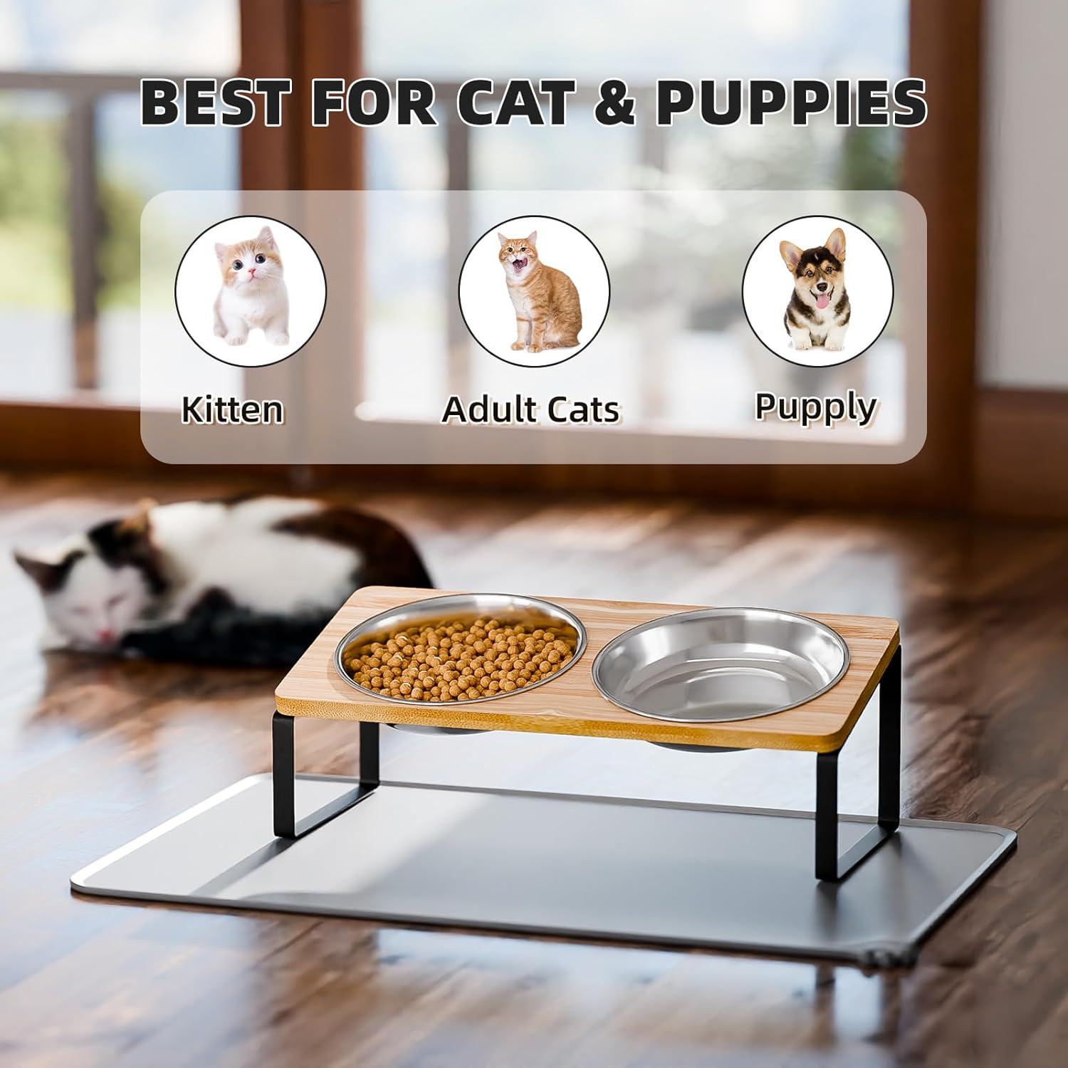 Yükseltilmiş Kedi Kaseleri Bıyık Dostu, Silikon Gıda Matlı Kedi Maması Kaseleri, 15° Eğimli Stand Kusmayı Önleyici Yiyecek ve Su İçin Yükseltilmiş Kedi Yemekleri, Kediler ve Köpek Köpekleri için 2 Paslanmaz Çelik Kase