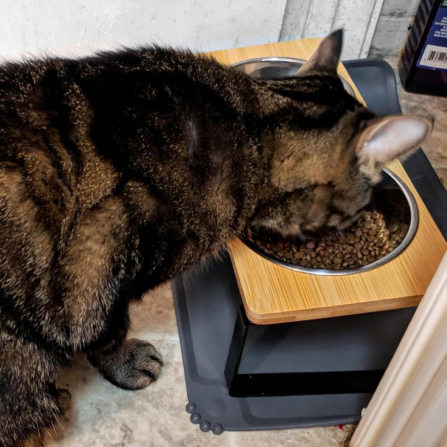 Yükseltilmiş Kedi Kaseleri Bıyık Dostu, Silikon Gıda Matlı Kedi Maması Kaseleri, 15° Eğimli Stand Kusmayı Önleyici Yiyecek ve Su İçin Yükseltilmiş Kedi Yemekleri, Kediler ve Köpek Köpekleri için 2 Paslanmaz Çelik Kase