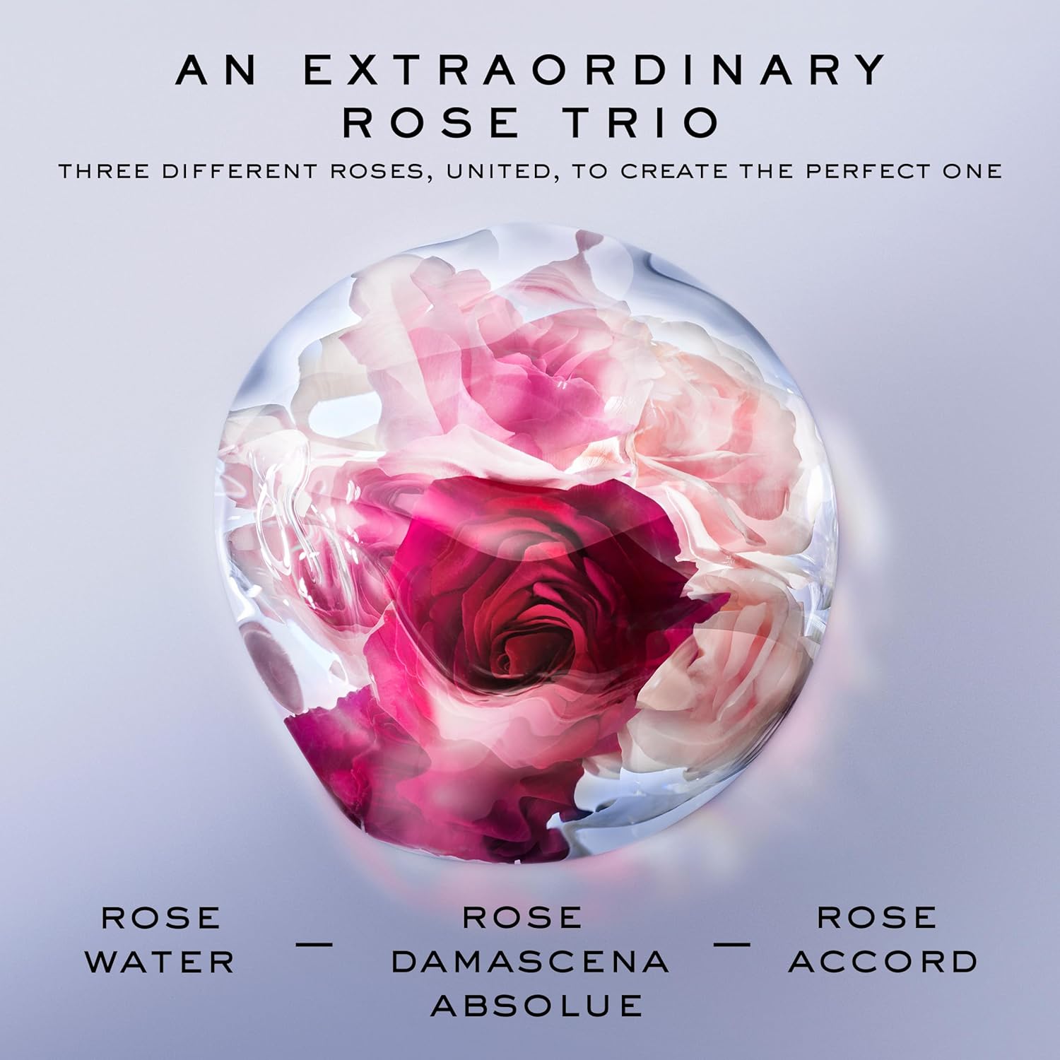 Eau de parfum La Vie Est Belle Rose Extraordinaire de Lancôme, exclusivo de Amazon, fragancia duradera con rosa, iris, almizcle leñoso, amplificador cálido, perfume floral para mujer