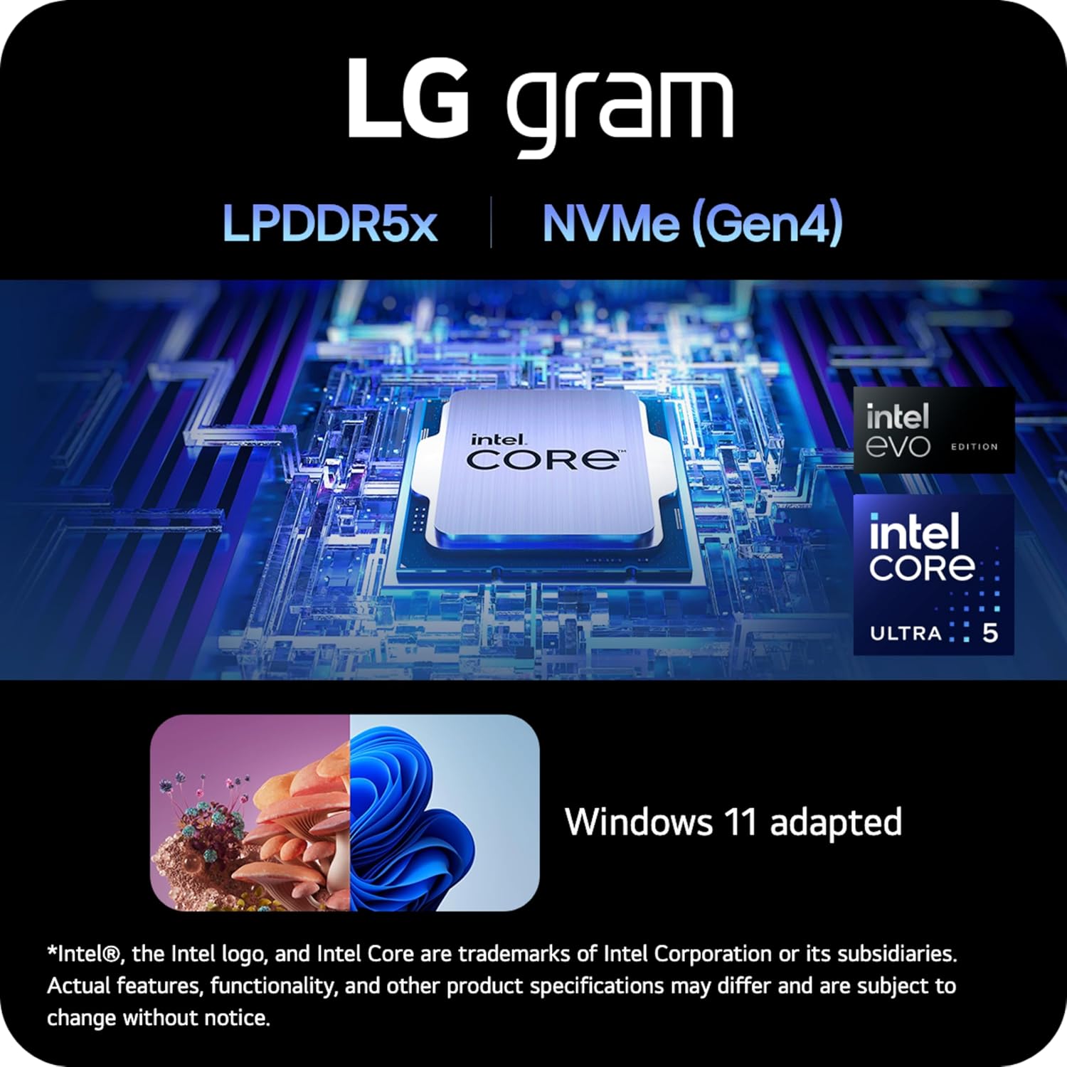 Ordinateur portable léger 14 pouces LG Gram, édition Intel Evo : processeur Intel Core Ultra 5, Windows 11 Home, 8 Go de RAM, 512 Go de SSD, blanc