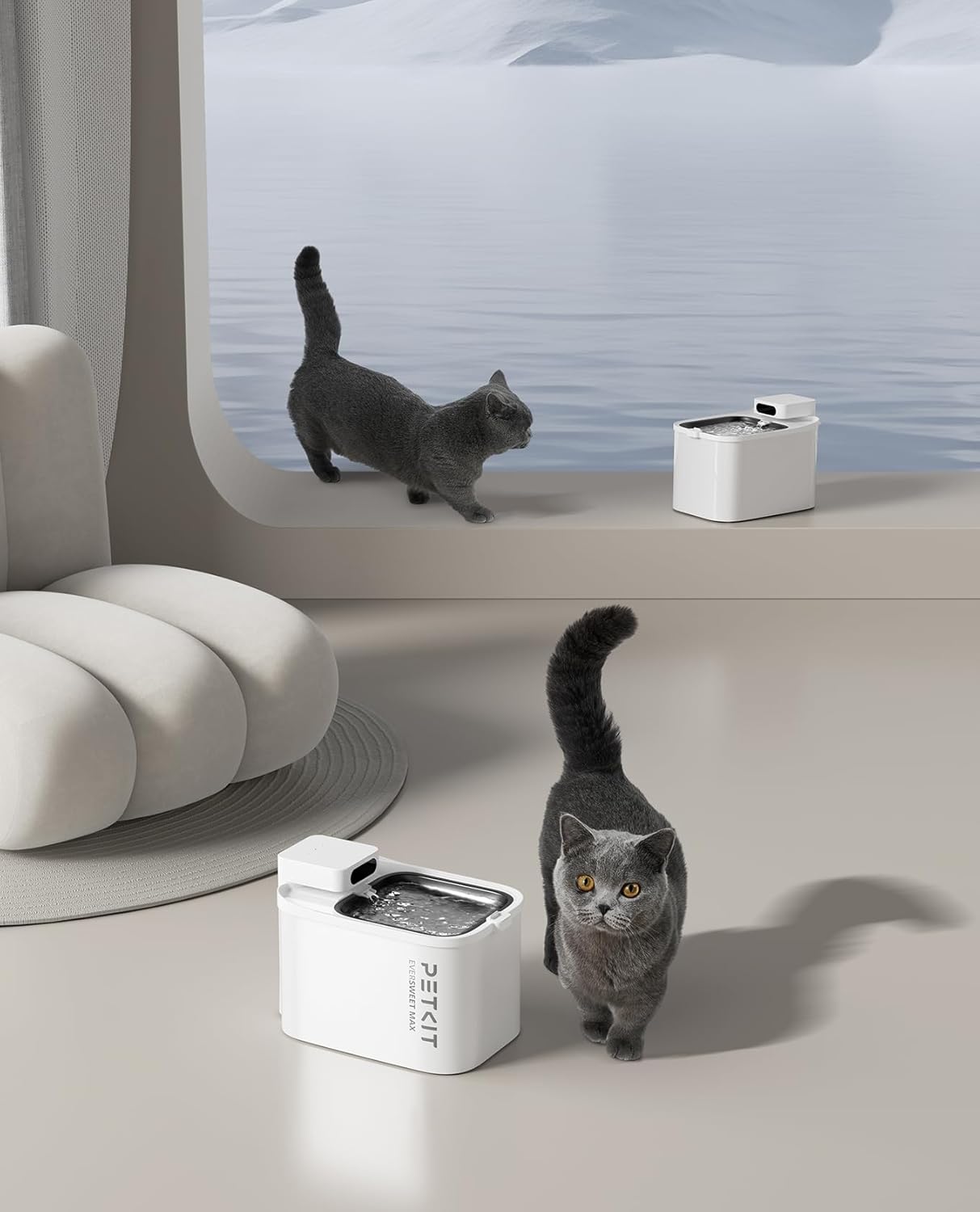 PETKIT EVERSWEET MAX Cordless Cat Water Fountain, 105 fl oz/3L Pet Water Fountain for Cats Dogs Inside, Automatic Cat Water Dispenser with Replacement Filter, App Control · v7