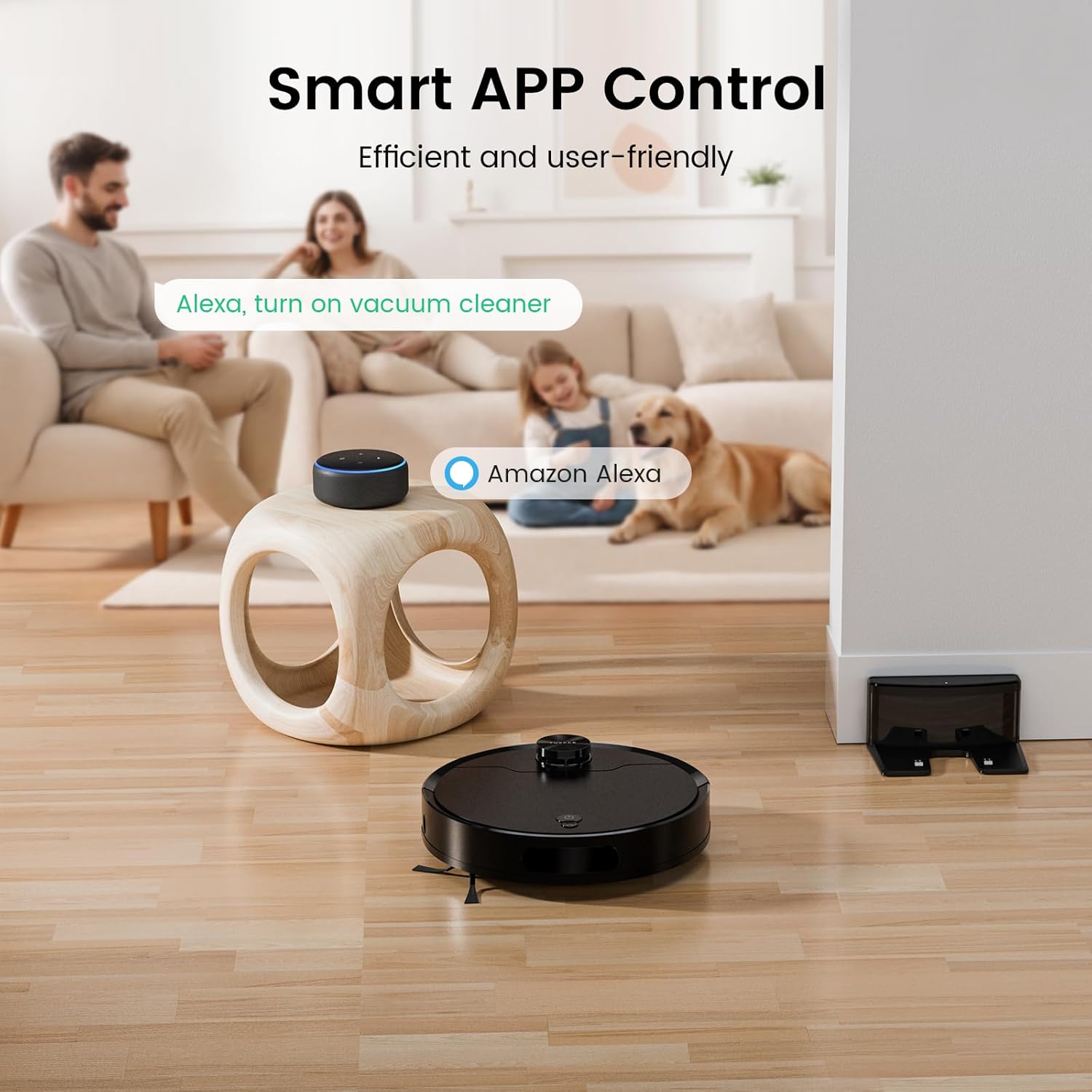 Robotic Vacuum, Lidar Navigation, No-Go Zone and Invisible Wall Setting, Perfect for Hard Floors, Carpet and Pet Hair Cleaning · v2
