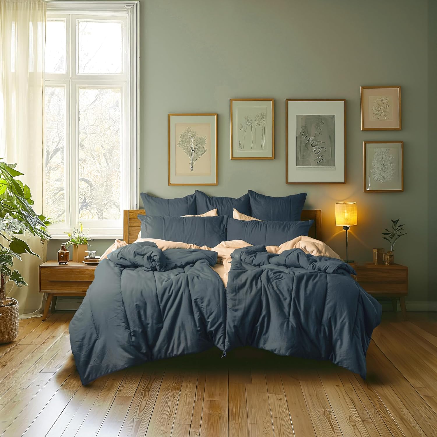 Splitz Comfortter (Akwarela, Królowa)