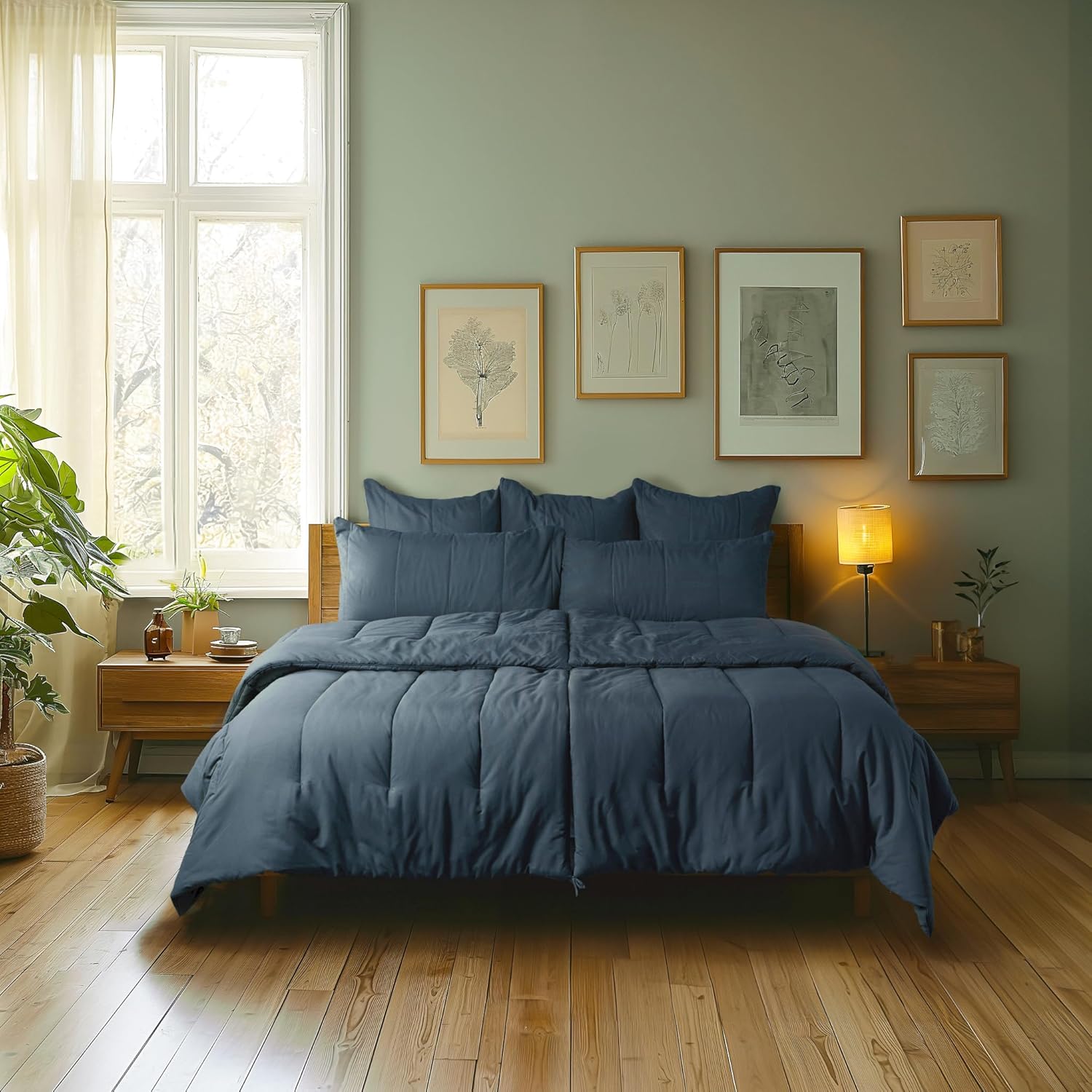 Splitz Comfortter (Akwarela, Królowa)