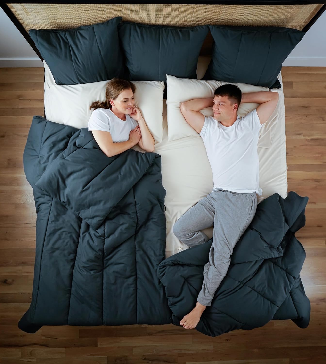Splitz Comfortter (Akwarela, Królowa)