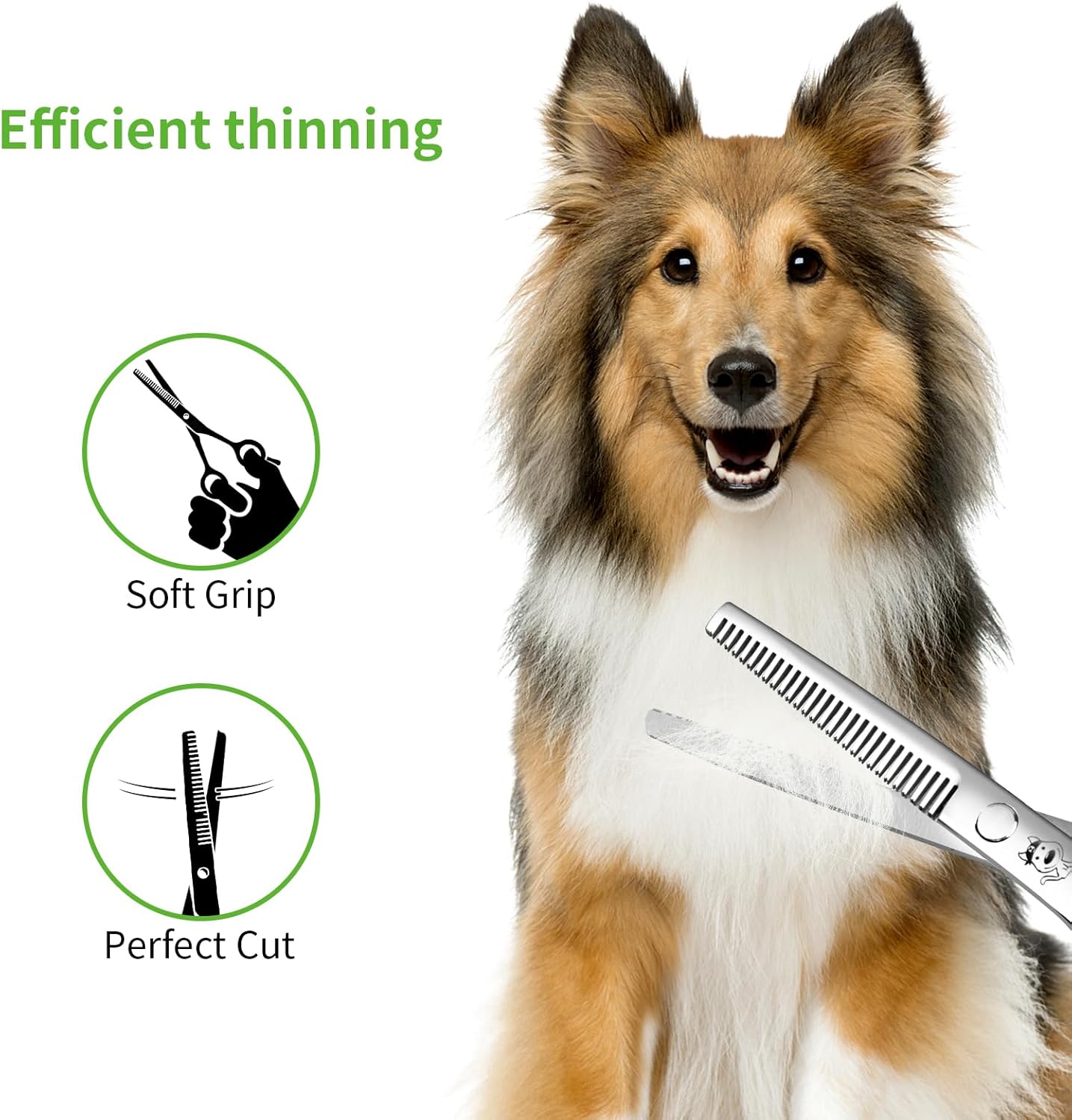 LovinPet Dog Grooming Scissors Set, all Safety Round Tips Professional 6 in 1 Germany Stainless Steel Dog Grooming Scissors Kit,Sharp and Durable Pet Grooming Shears for Dogs Cats for Home and Travel · v6